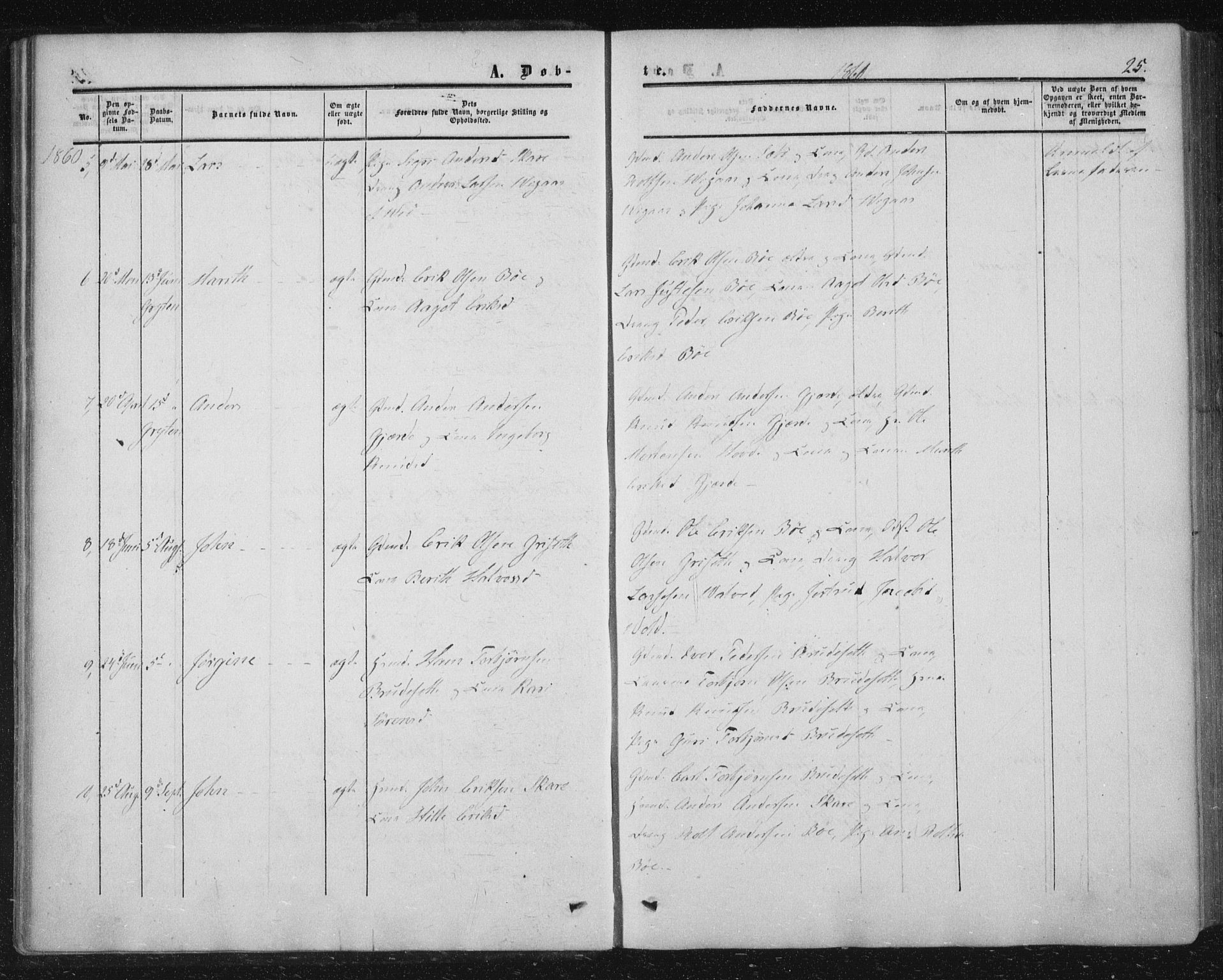 Ministerialprotokoller, klokkerbøker og fødselsregistre - Møre og Romsdal, AV/SAT-A-1454/543/L0562: Parish register (official) no. 543A02, 1854-1884, p. 25