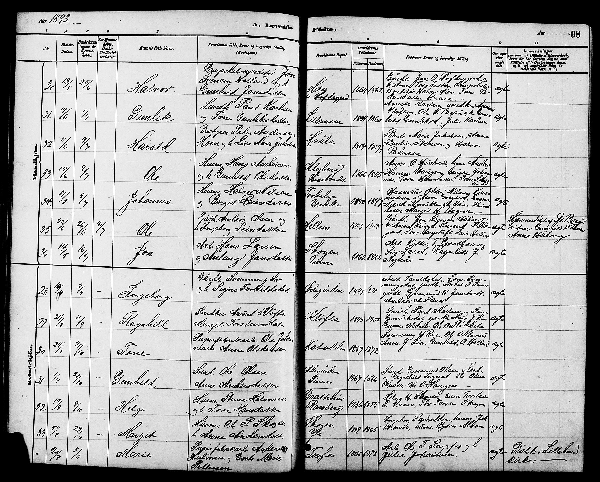 Heddal kirkebøker, AV/SAKO-A-268/G/Ga/L0002: Parish register (copy) no. I 2, 1879-1908, p. 98