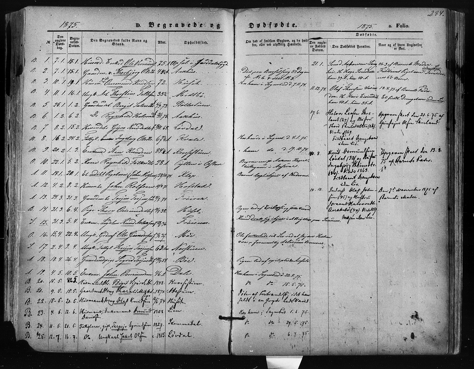 Bygland sokneprestkontor, SAK/1111-0006/F/Fa/Fab/L0006: Parish register (official) no. A 6, 1873-1884, p. 284
