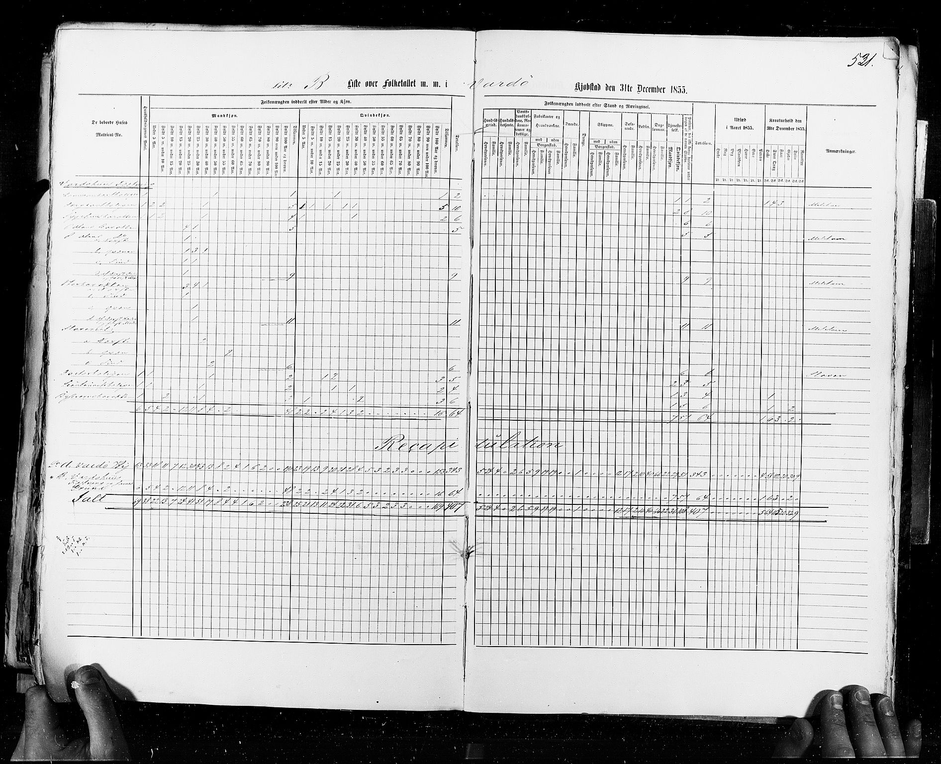 RA, Census 1855, vol. 8: Risør-Vadsø, 1855, p. 531