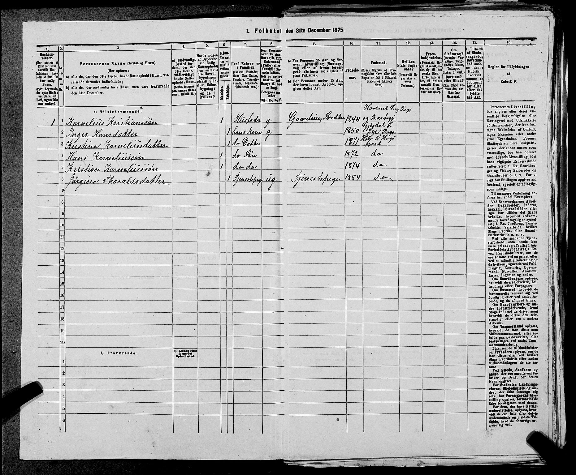 SAST, 1875 census for 1128P Høgsfjord, 1875, p. 891