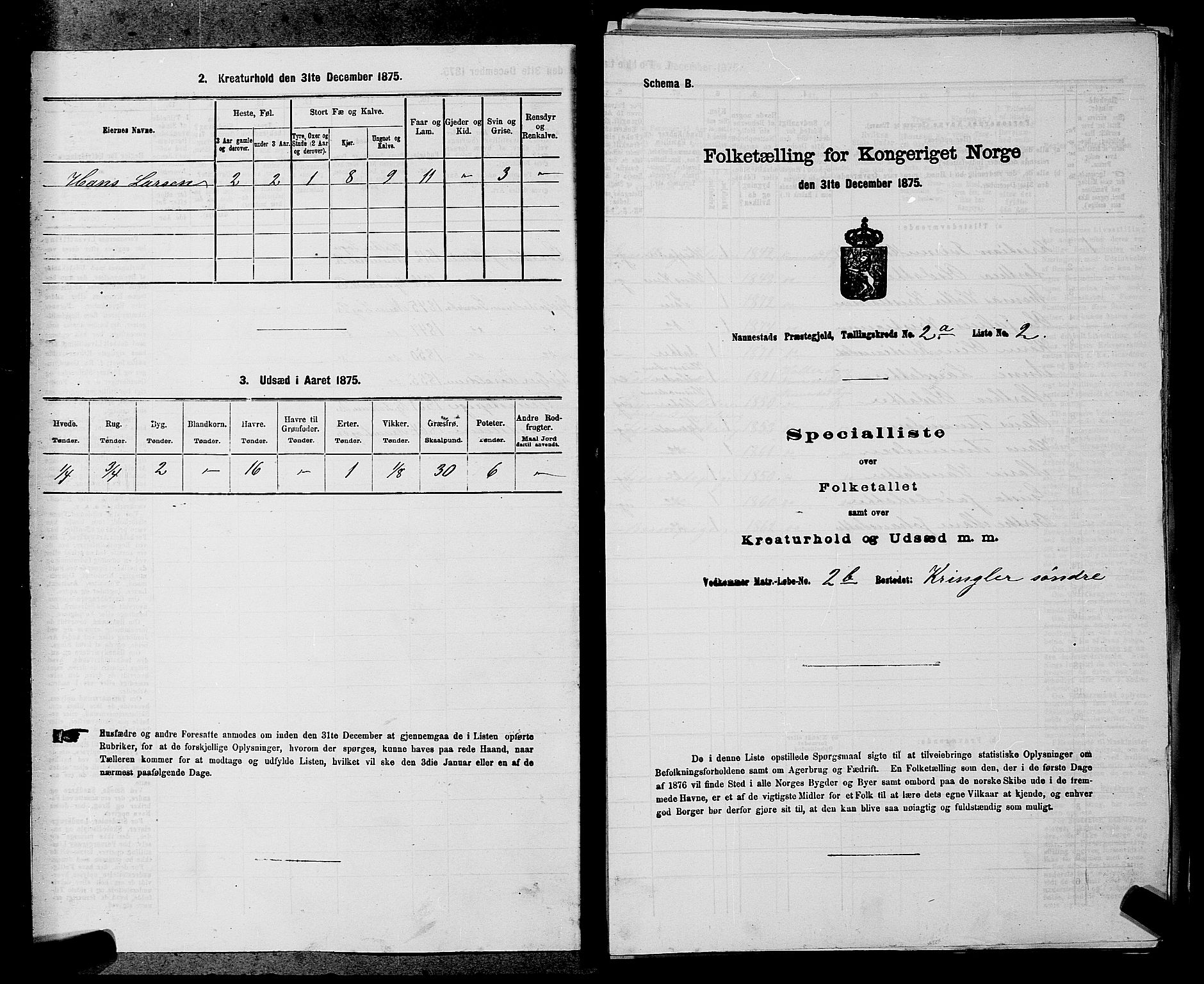 RA, 1875 census for 0238P Nannestad, 1875, p. 208