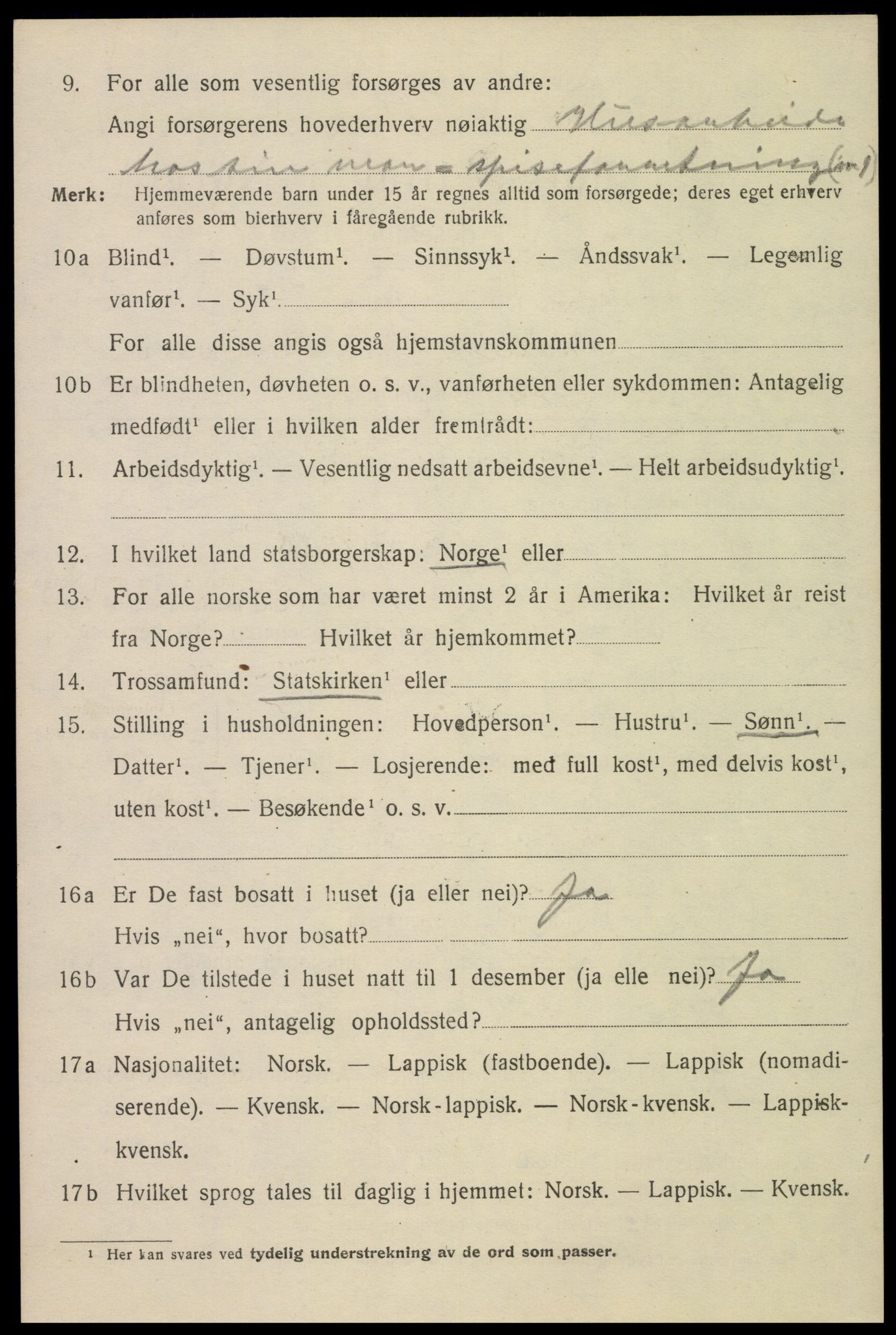 SAT, 1920 census for Narvik, 1920, p. 5191