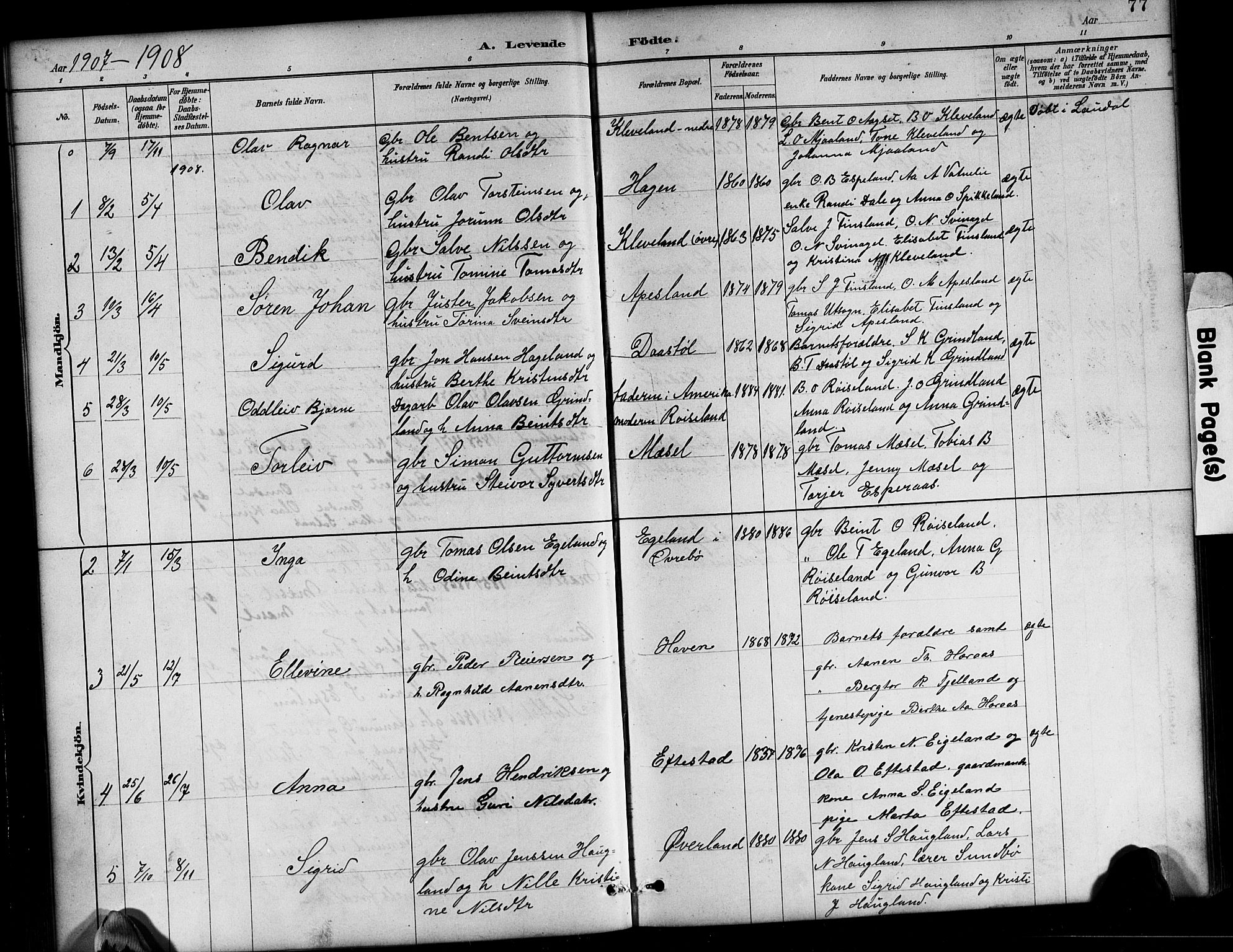 Bjelland sokneprestkontor, SAK/1111-0005/F/Fb/Fbb/L0005: Parish register (copy) no. B 5, 1887-1918, p. 77