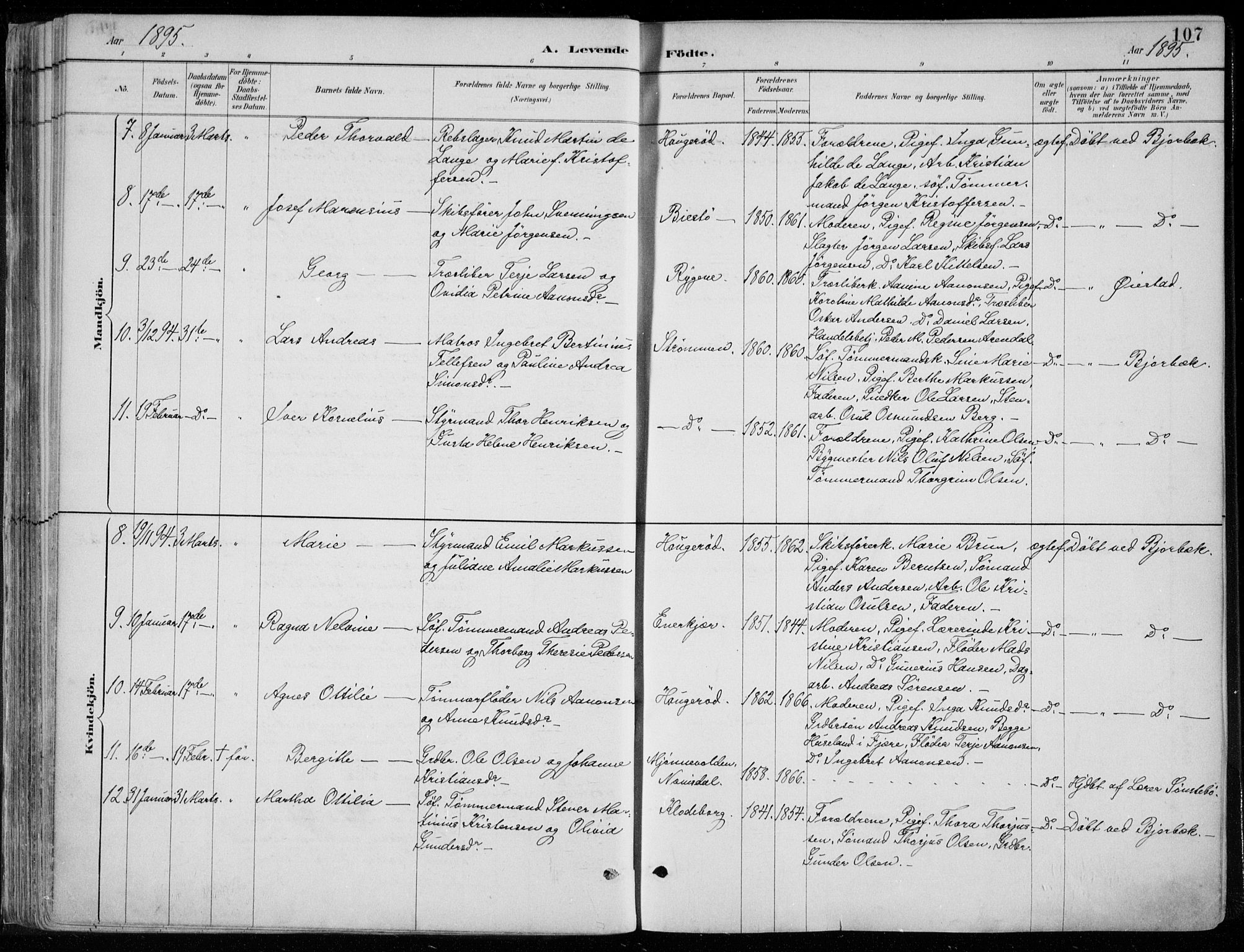 Øyestad sokneprestkontor, AV/SAK-1111-0049/F/Fa/L0017: Parish register (official) no. A 17, 1887-1896, p. 107