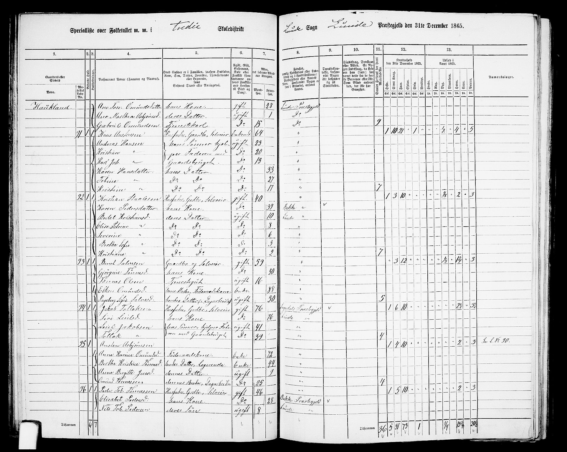 RA, 1865 census for Lund, 1865, p. 37