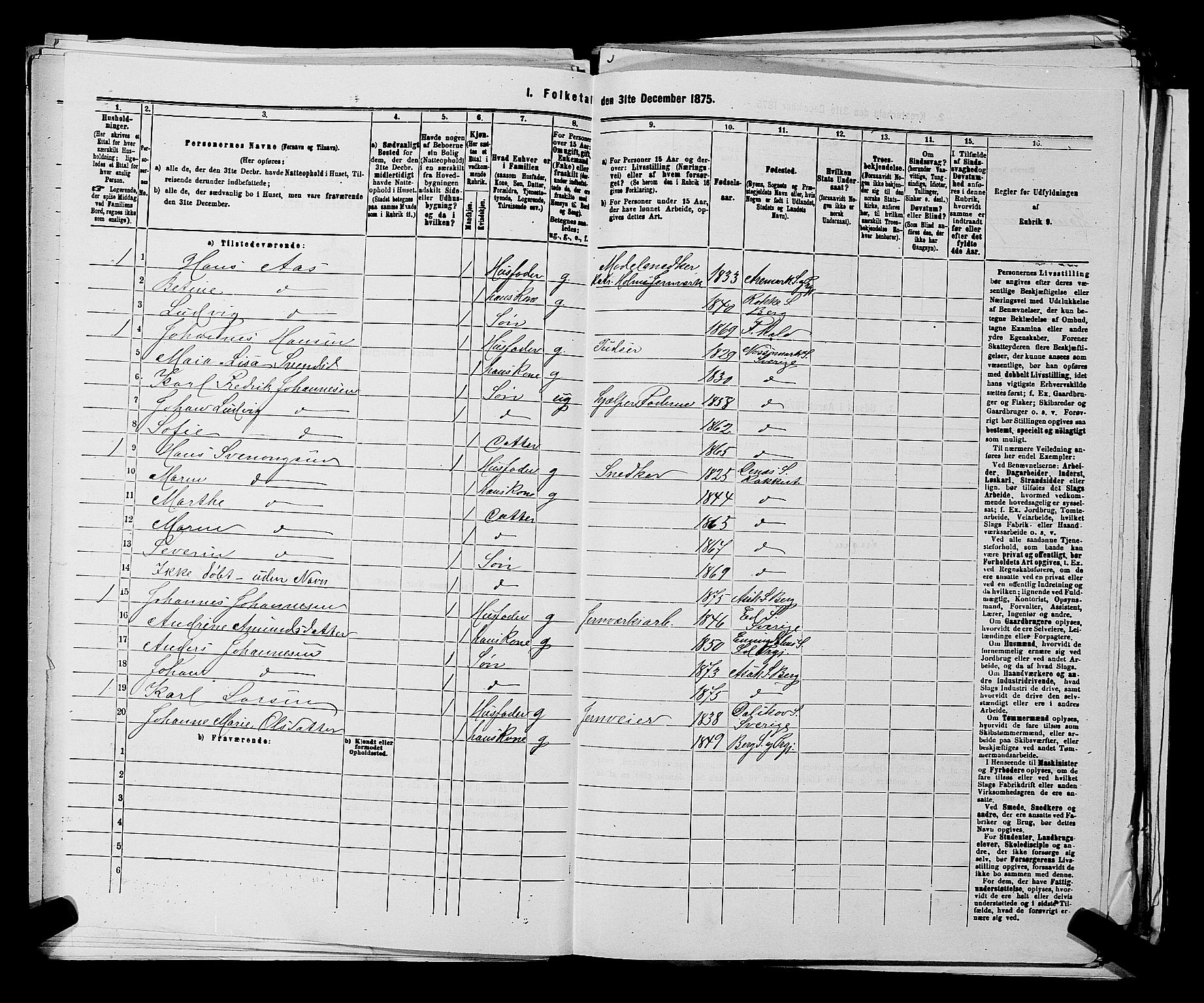 RA, 1875 census for 0116P Berg, 1875, p. 732