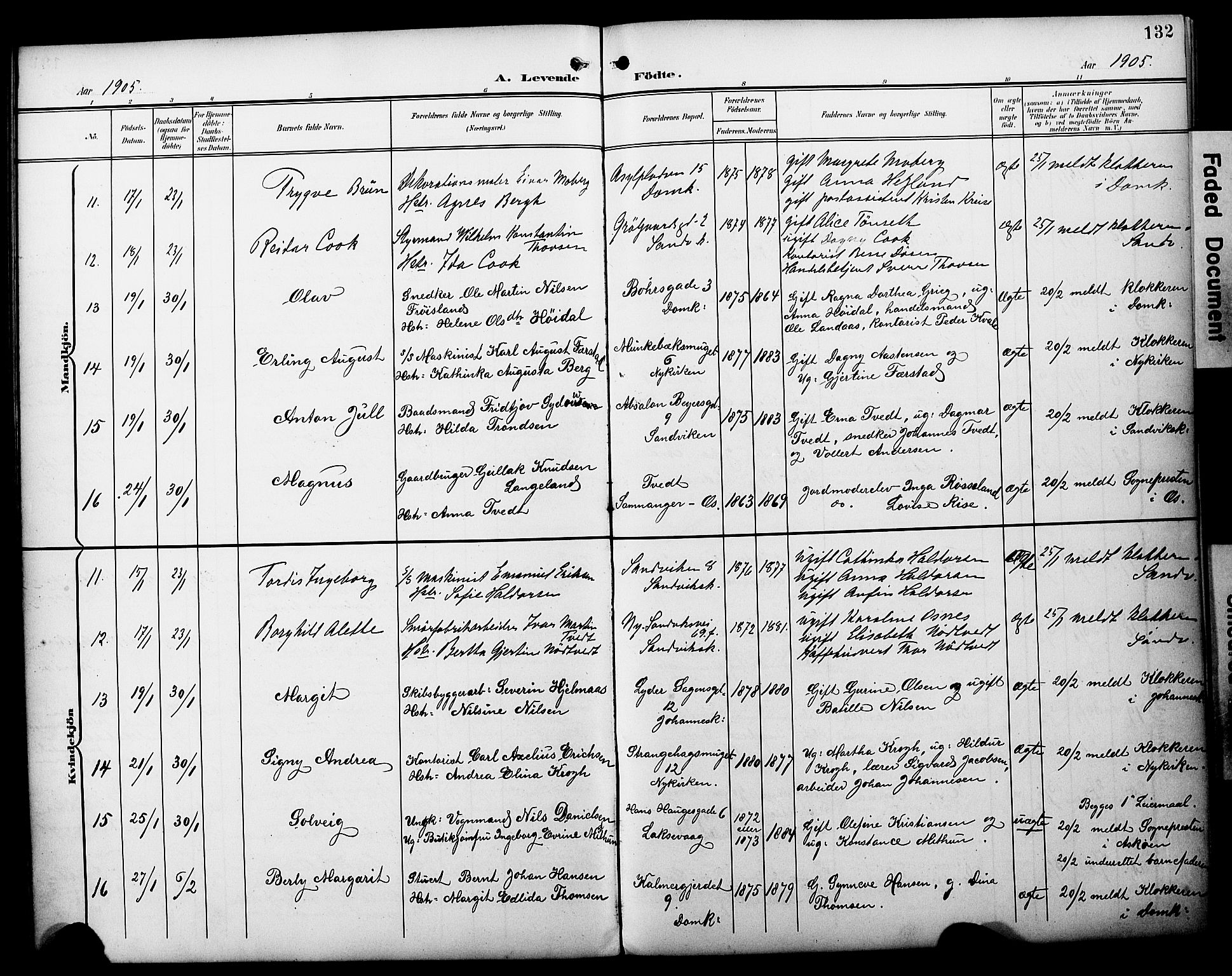 Fødselsstiftelsens sokneprestembete*, SAB/-: Parish register (official) no. A 3, 1901-1910, p. 132