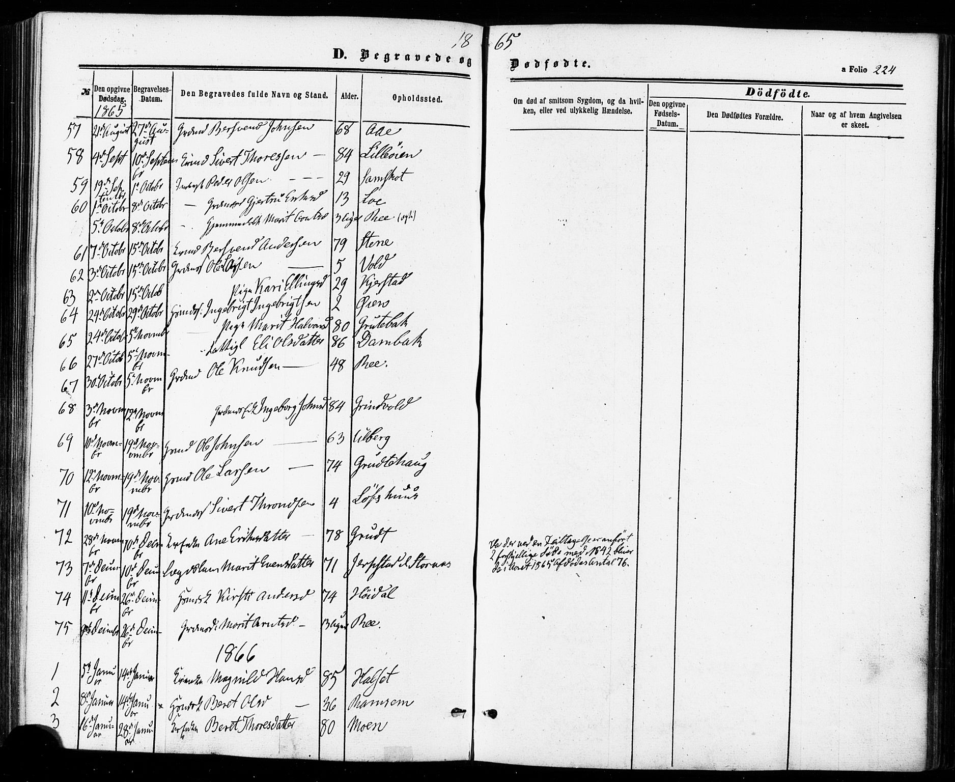 Ministerialprotokoller, klokkerbøker og fødselsregistre - Sør-Trøndelag, SAT/A-1456/672/L0856: Parish register (official) no. 672A08, 1861-1881, p. 224