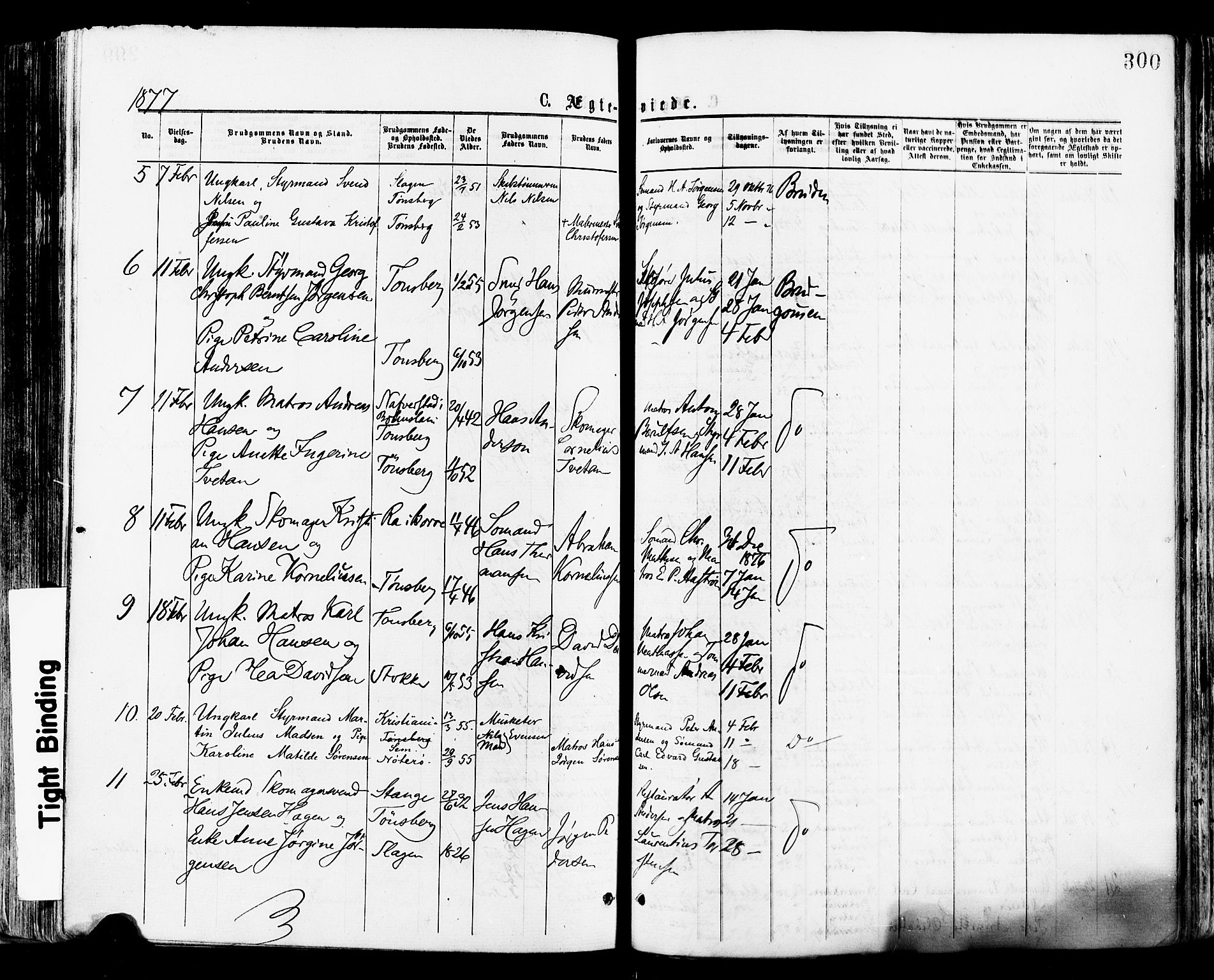 Tønsberg kirkebøker, AV/SAKO-A-330/F/Fa/L0010: Parish register (official) no. I 10, 1874-1880, p. 300