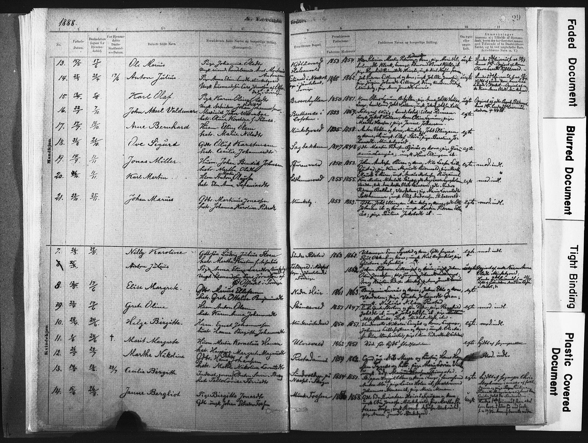 Ministerialprotokoller, klokkerbøker og fødselsregistre - Nord-Trøndelag, SAT/A-1458/721/L0207: Parish register (official) no. 721A02, 1880-1911, p. 29
