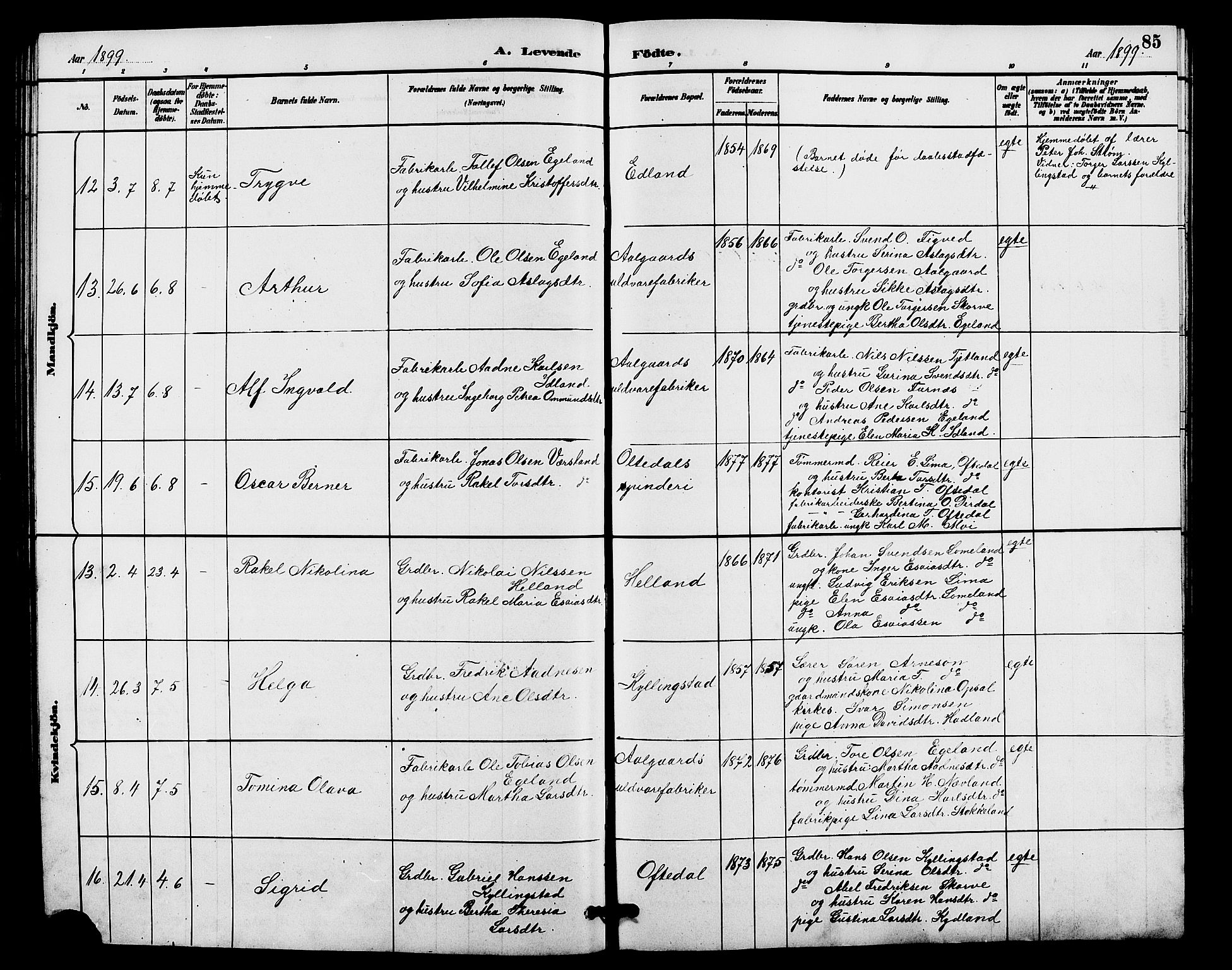 Lye sokneprestkontor, AV/SAST-A-101794/001/30BB/L0008: Parish register (copy) no. B 7, 1887-1901, p. 85