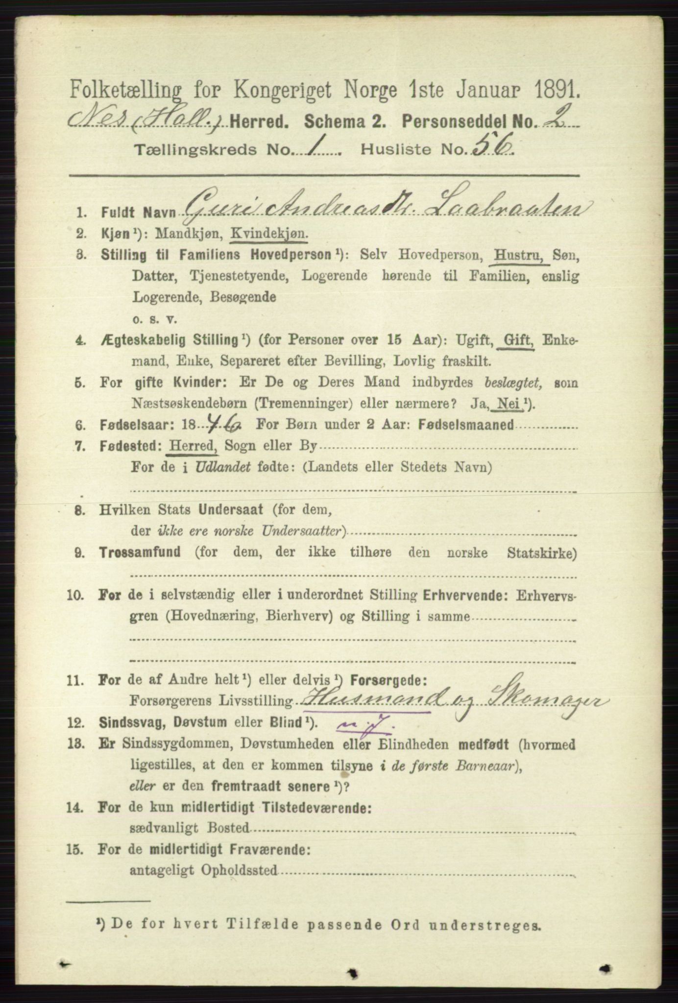 RA, 1891 census for 0616 Nes, 1891, p. 483