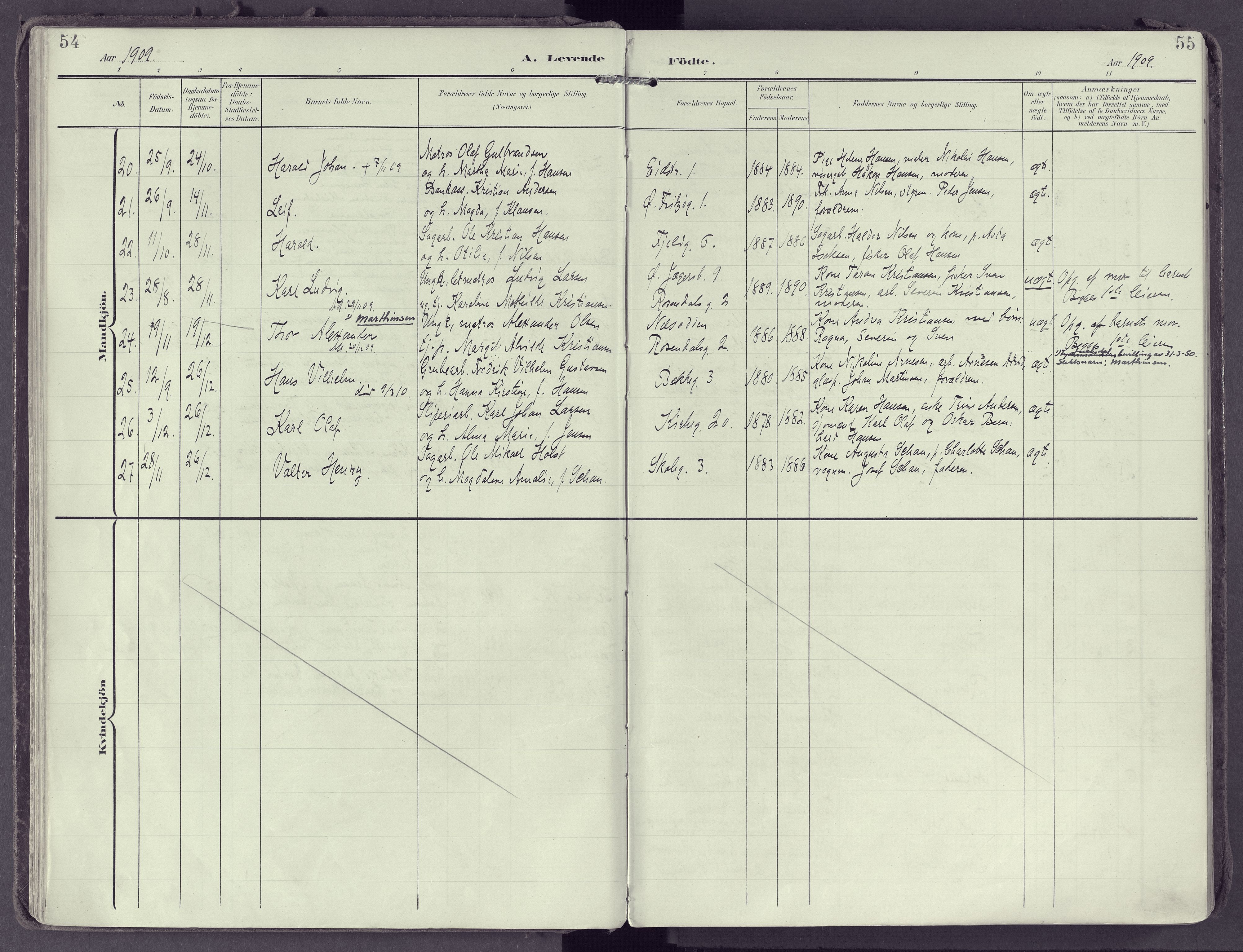 Larvik kirkebøker, AV/SAKO-A-352/F/Fb/L0005: Parish register (official) no. II 5, 1903-1925, p. 54-55