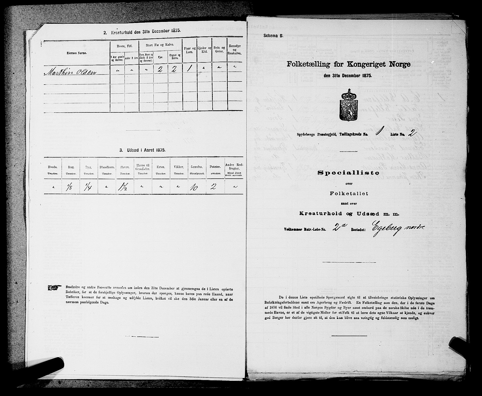 RA, 1875 census for 0123P Spydeberg, 1875, p. 31