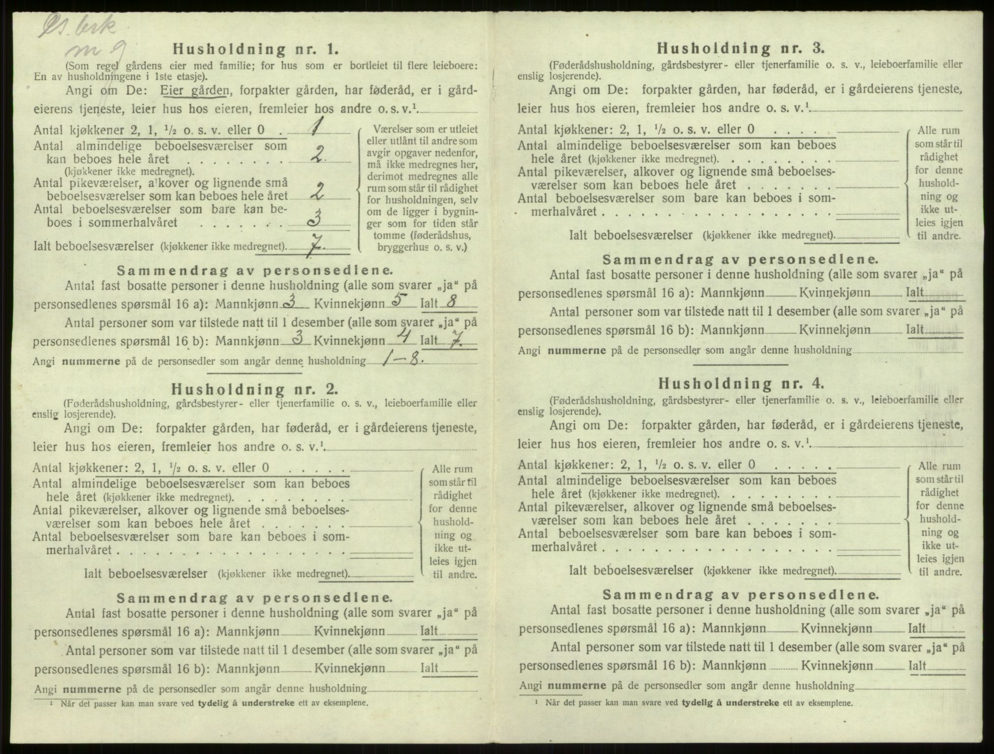 SAB, 1920 census for Lærdal, 1920, p. 218