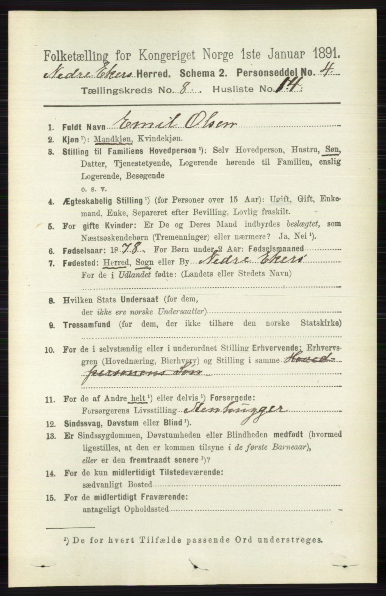 RA, 1891 census for 0625 Nedre Eiker, 1891, p. 4031