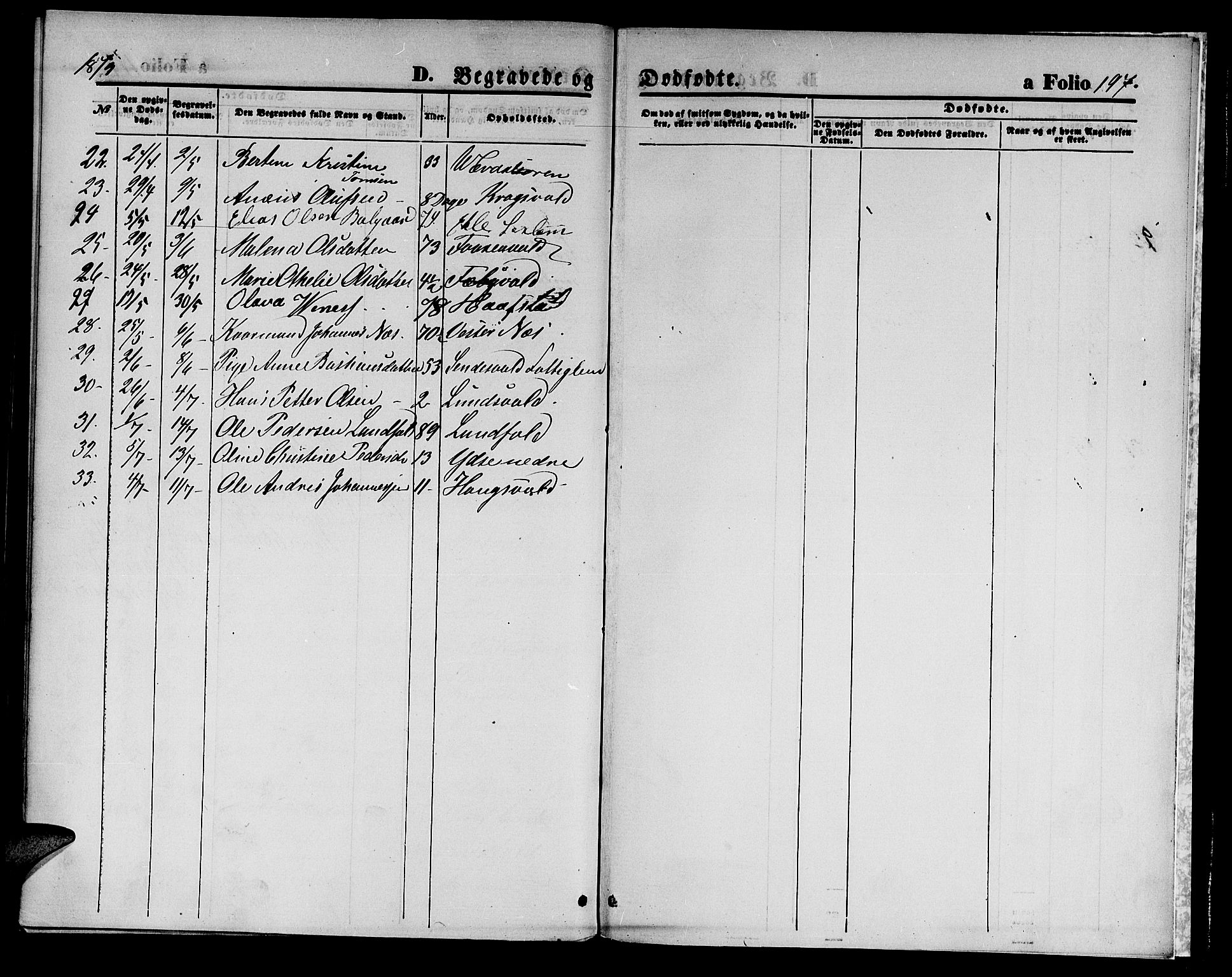 Ministerialprotokoller, klokkerbøker og fødselsregistre - Nord-Trøndelag, AV/SAT-A-1458/723/L0255: Parish register (copy) no. 723C03, 1869-1879, p. 197