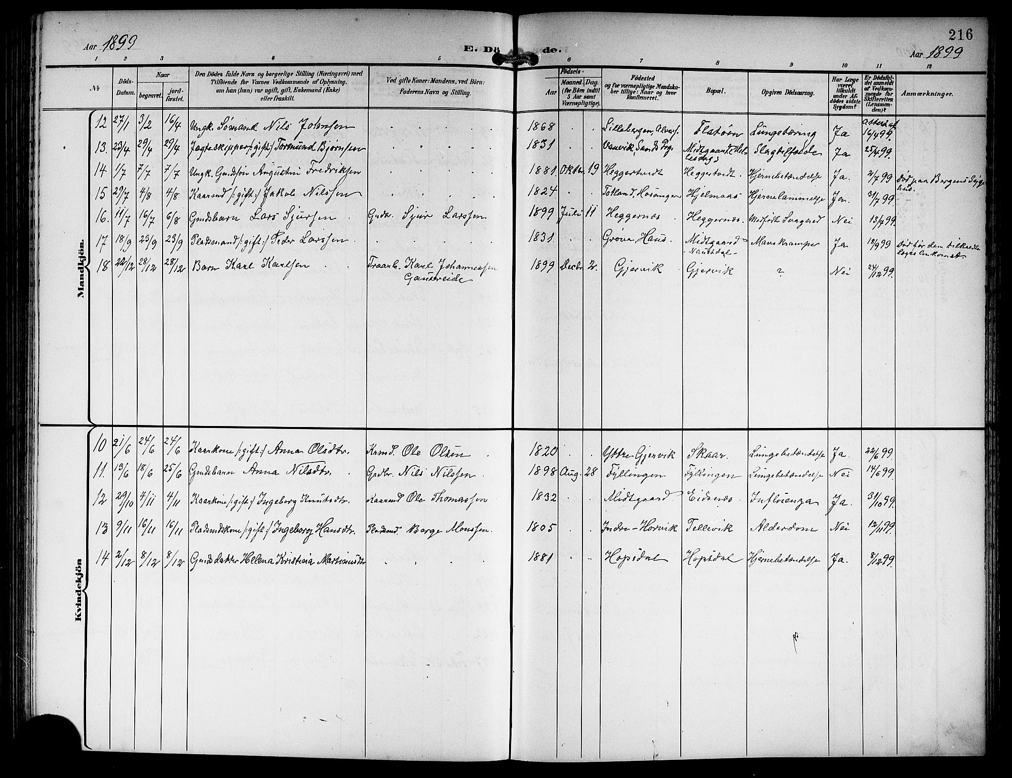 Hamre sokneprestembete, AV/SAB-A-75501/H/Ha/Hab: Parish register (copy) no. B 4, 1898-1919, p. 216