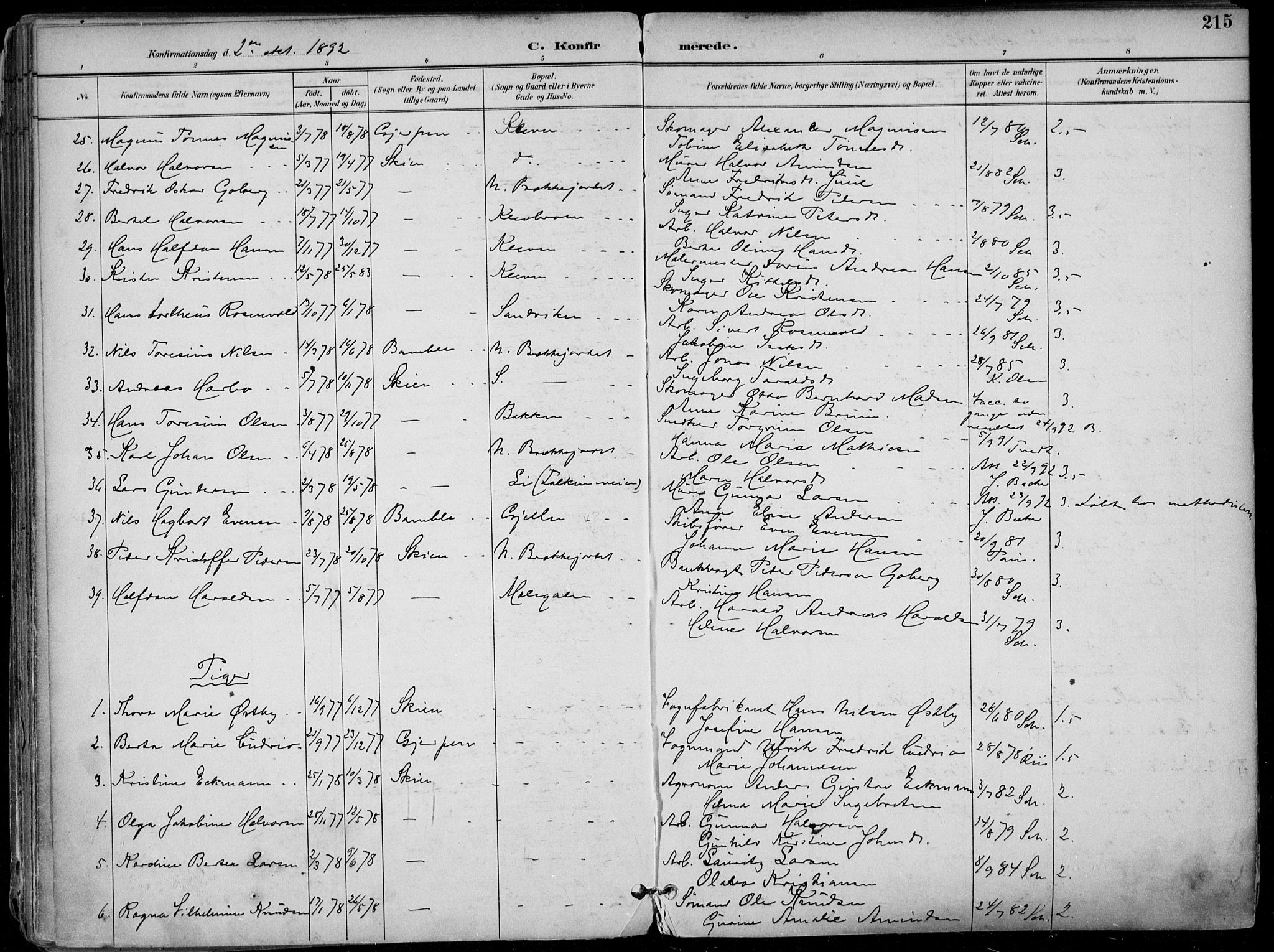 Skien kirkebøker, SAKO/A-302/F/Fa/L0010: Parish register (official) no. 10, 1891-1899, p. 215