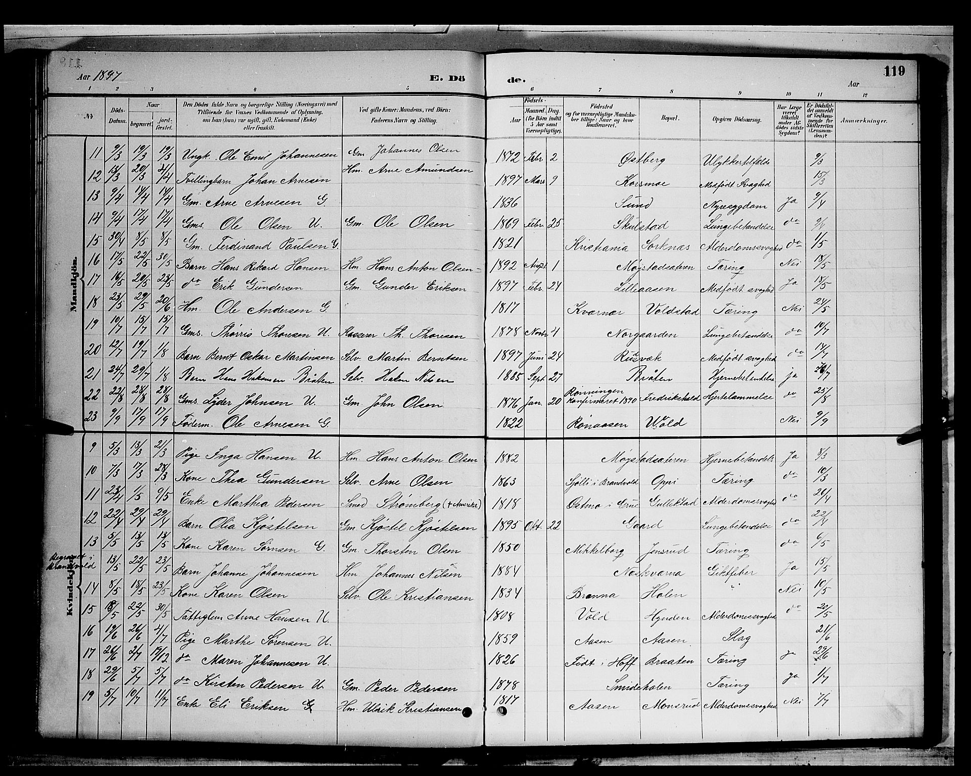 Grue prestekontor, AV/SAH-PREST-036/H/Ha/Hab/L0003: Parish register (copy) no. 3, 1895-1899, p. 119