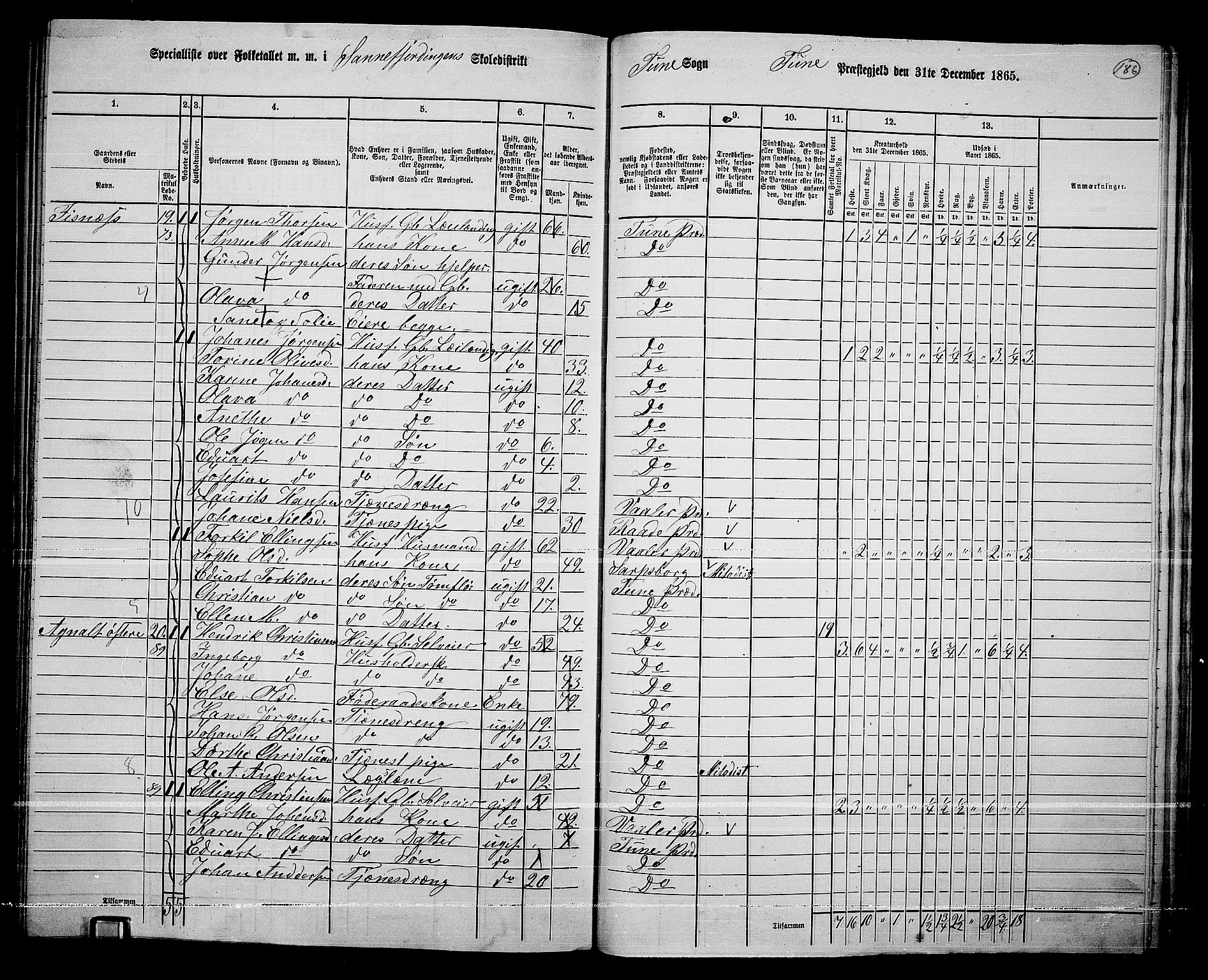 RA, 1865 census for Tune, 1865, p. 260