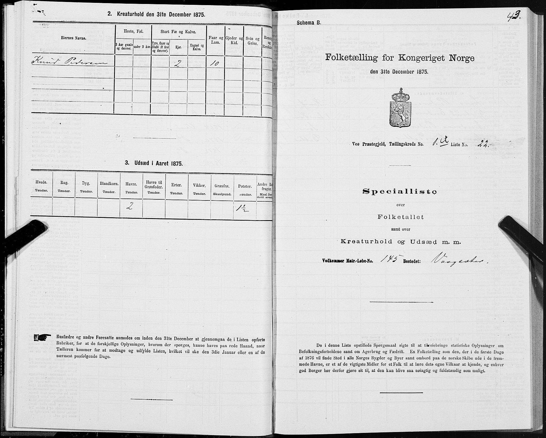 SAT, 1875 census for 1541P Veøy, 1875, p. 1043