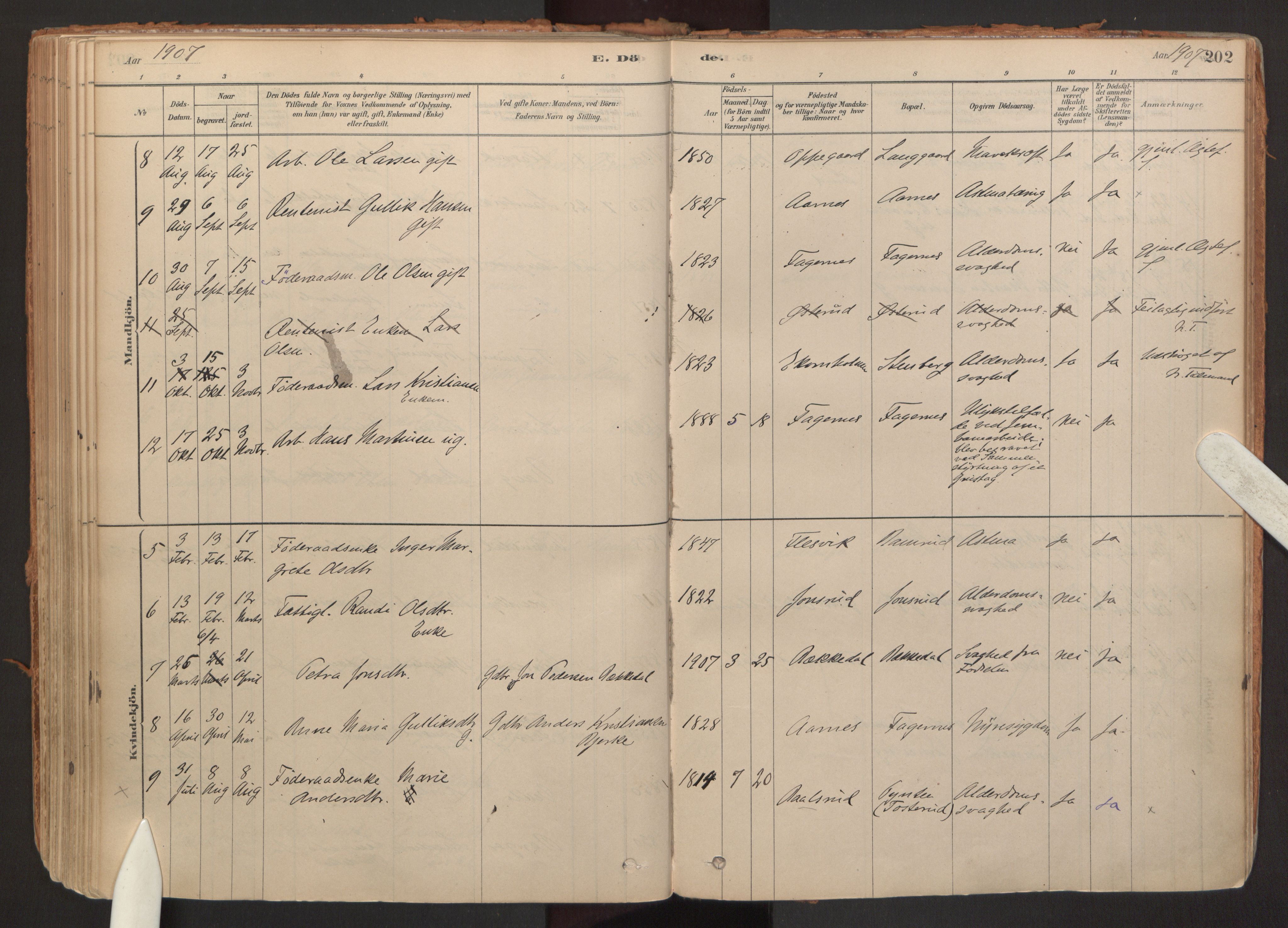 Hurdal prestekontor Kirkebøker, AV/SAO-A-10889/F/Fb/L0003: Parish register (official) no. II 3, 1878-1920, p. 202