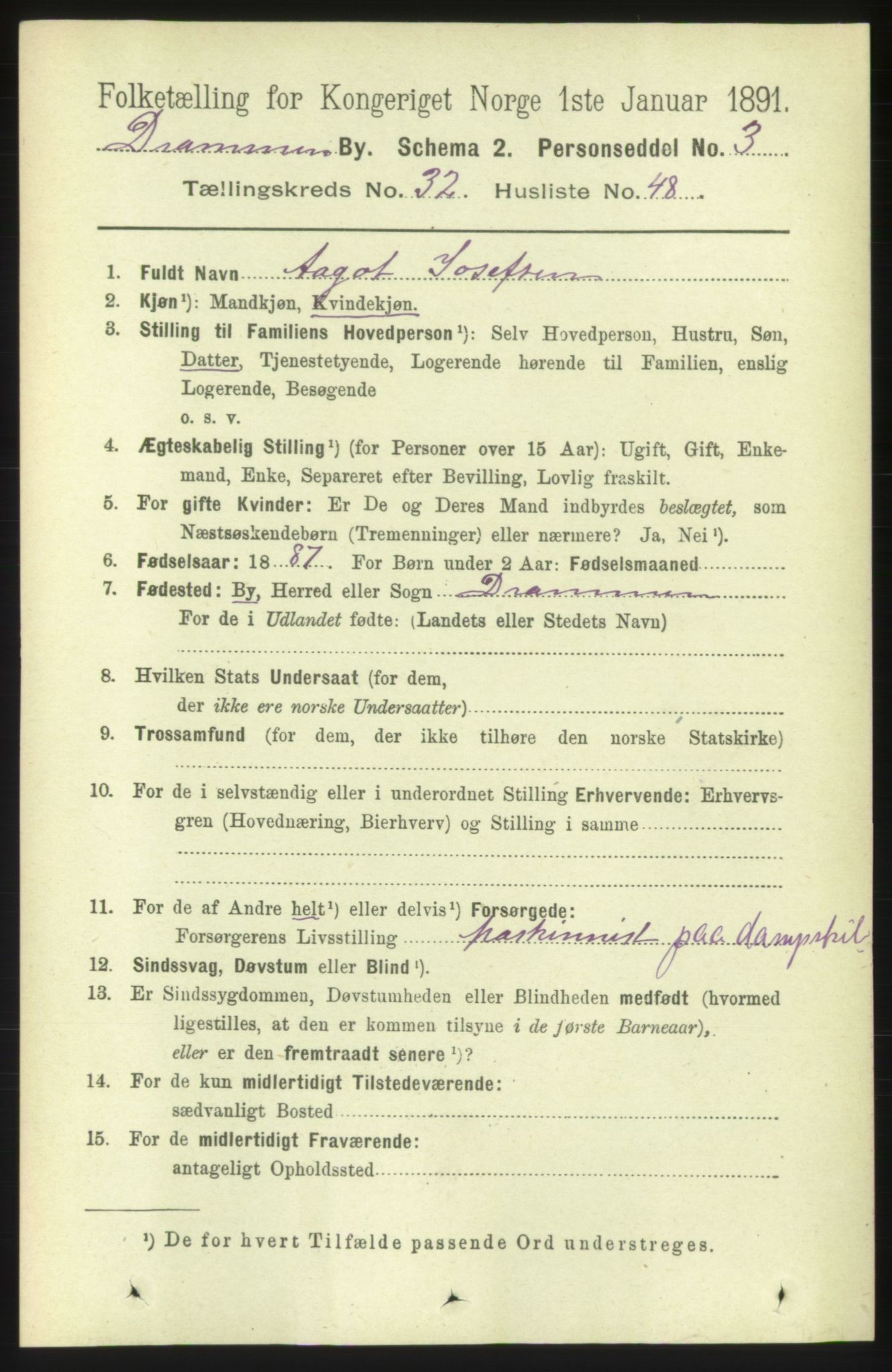 RA, 1891 census for 0602 Drammen, 1891, p. 19954