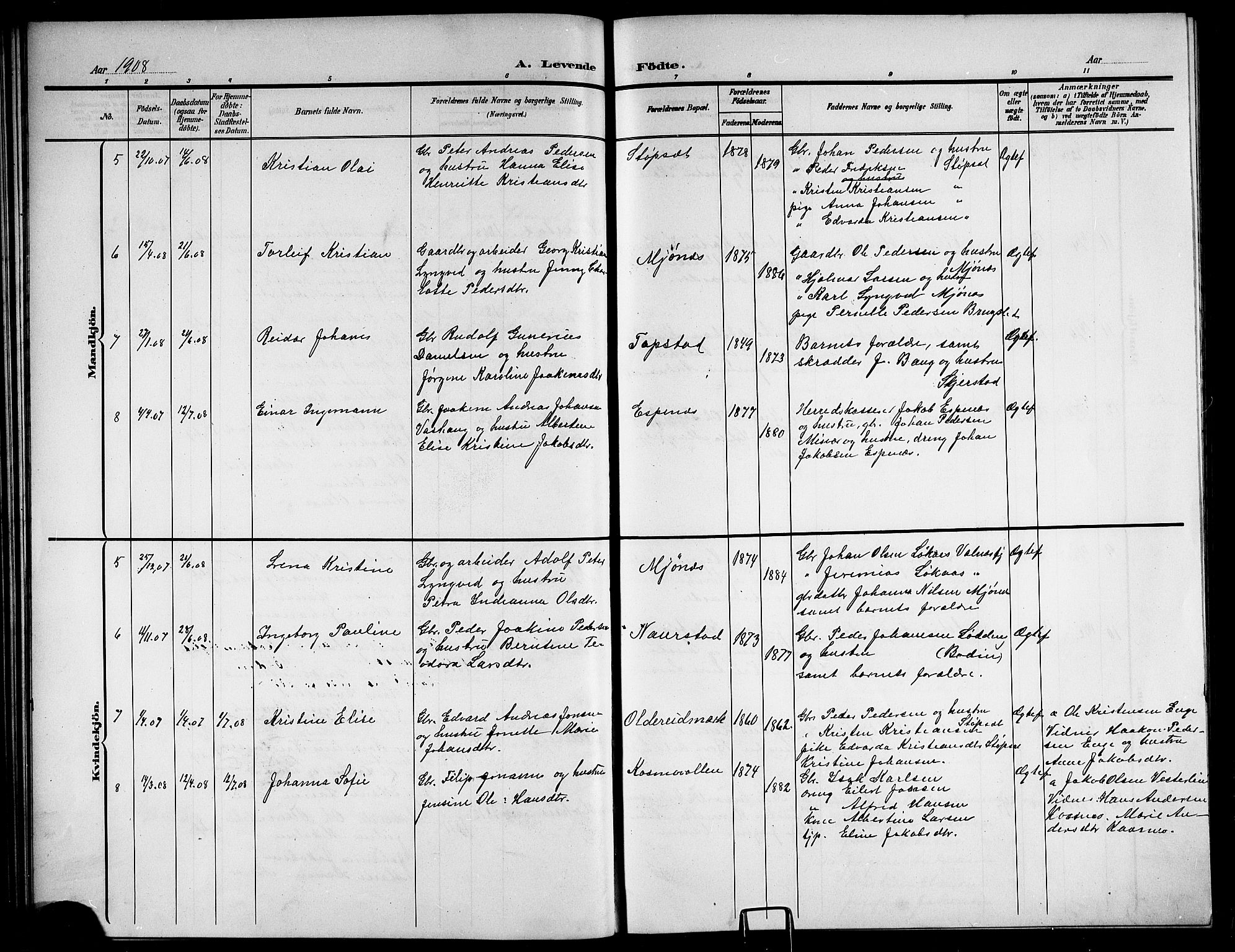 Ministerialprotokoller, klokkerbøker og fødselsregistre - Nordland, AV/SAT-A-1459/852/L0756: Parish register (copy) no. 852C07, 1902-1916