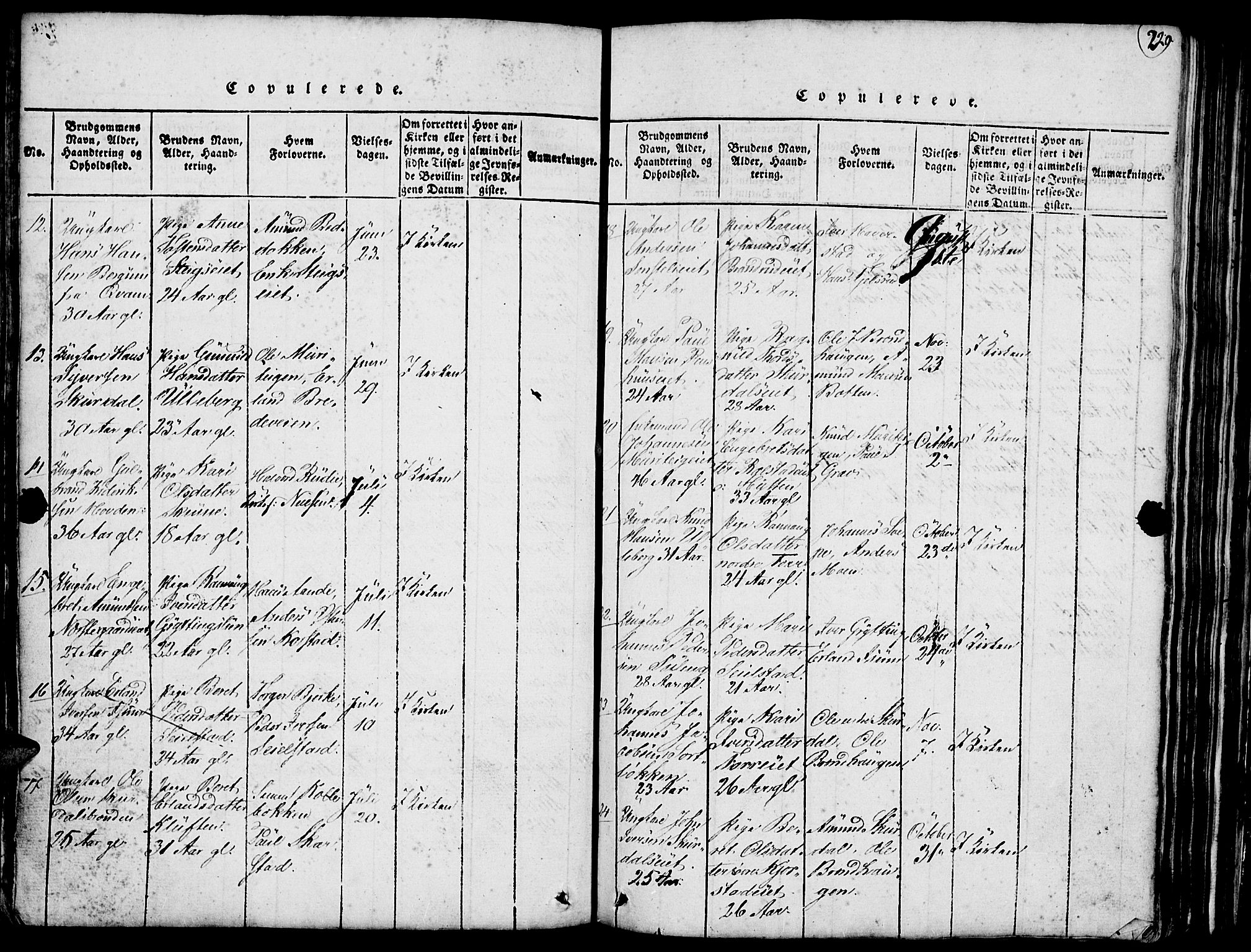 Fron prestekontor, SAH/PREST-078/H/Ha/Hab/L0001: Parish register (copy) no. 1, 1816-1843, p. 229