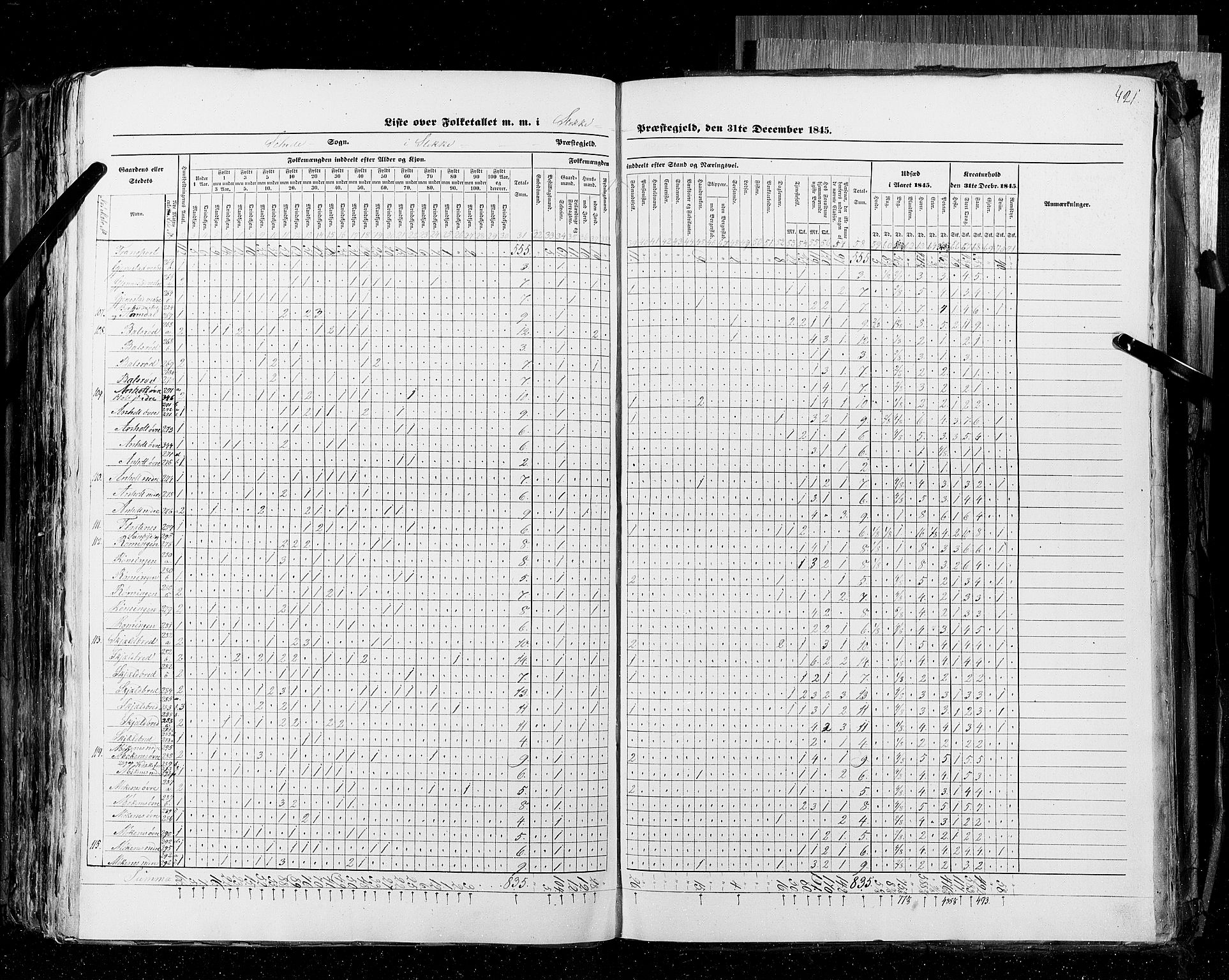 RA, Census 1845, vol. 4: Buskerud amt og Jarlsberg og Larvik amt, 1845, p. 421