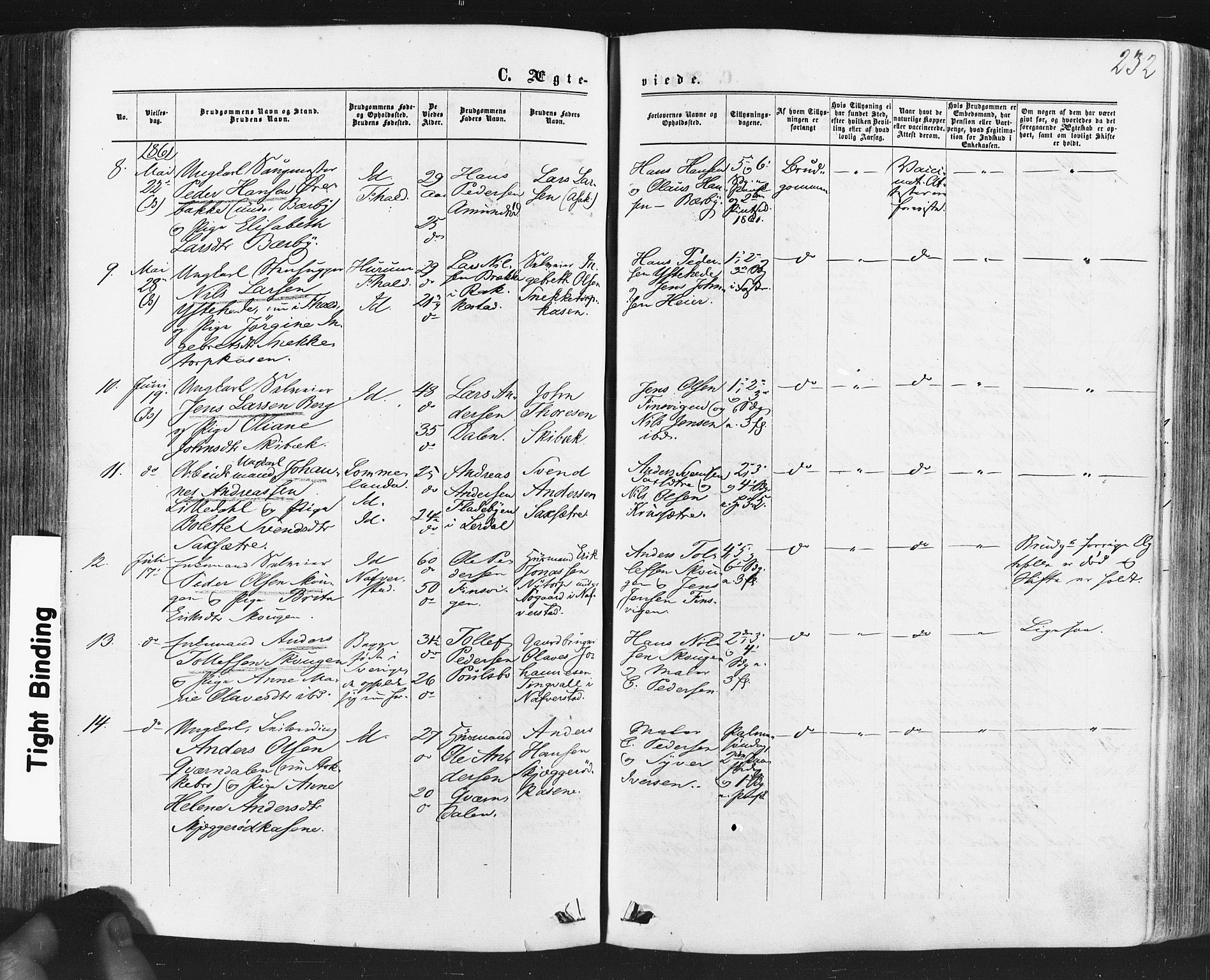 Idd prestekontor Kirkebøker, SAO/A-10911/F/Fc/L0005: Parish register (official) no. III 5, 1861-1877, p. 232