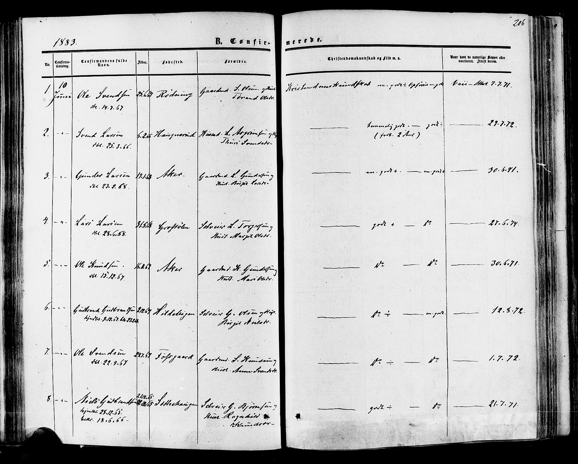 Hol kirkebøker, AV/SAKO-A-227/F/Fa/L0002: Parish register (official) no. I 2, 1870-1886, p. 206