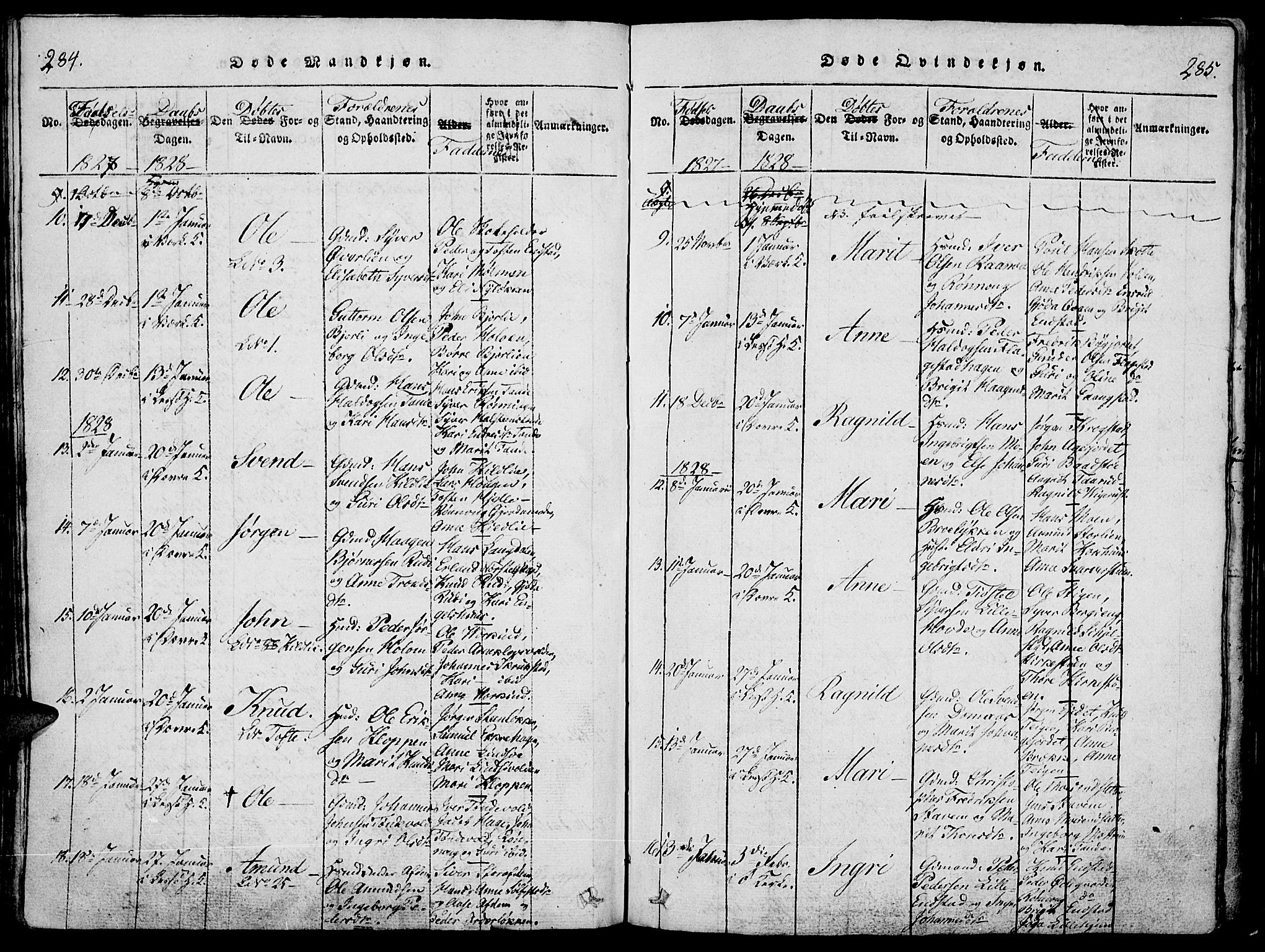 Lesja prestekontor, AV/SAH-PREST-068/H/Ha/Haa/L0004: Parish register (official) no. 4, 1820-1829, p. 284-285