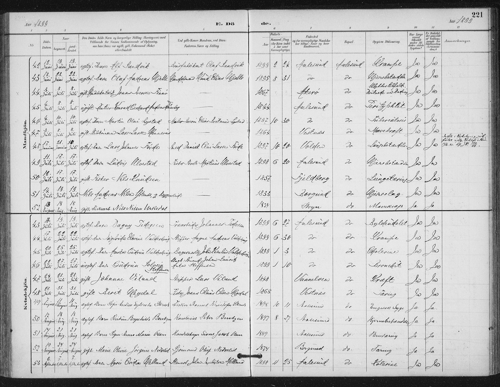 Ministerialprotokoller, klokkerbøker og fødselsregistre - Møre og Romsdal, AV/SAT-A-1454/529/L0457: Parish register (official) no. 529A07, 1894-1903, p. 221