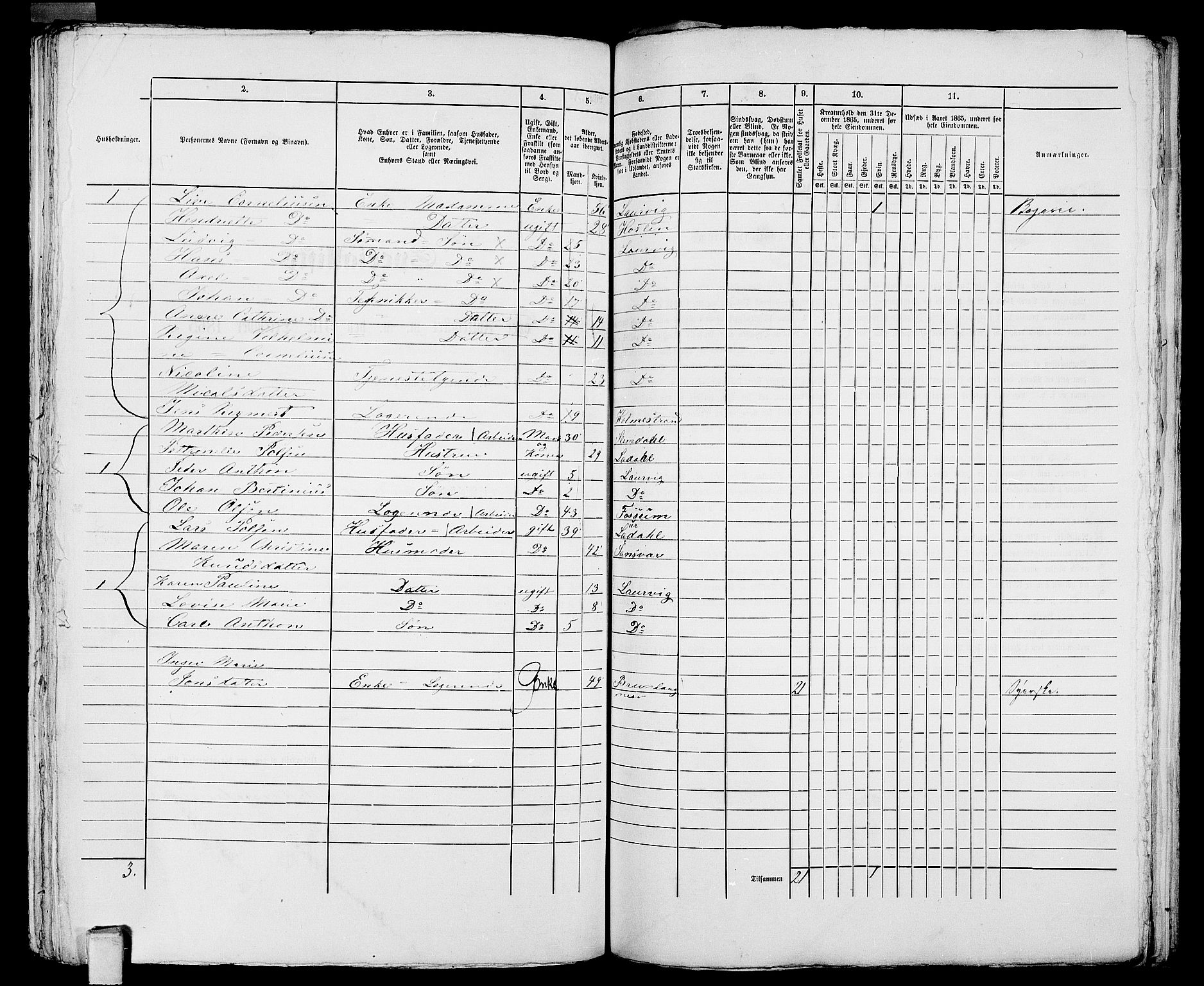 RA, 1865 census for Larvik, 1865, p. 1056