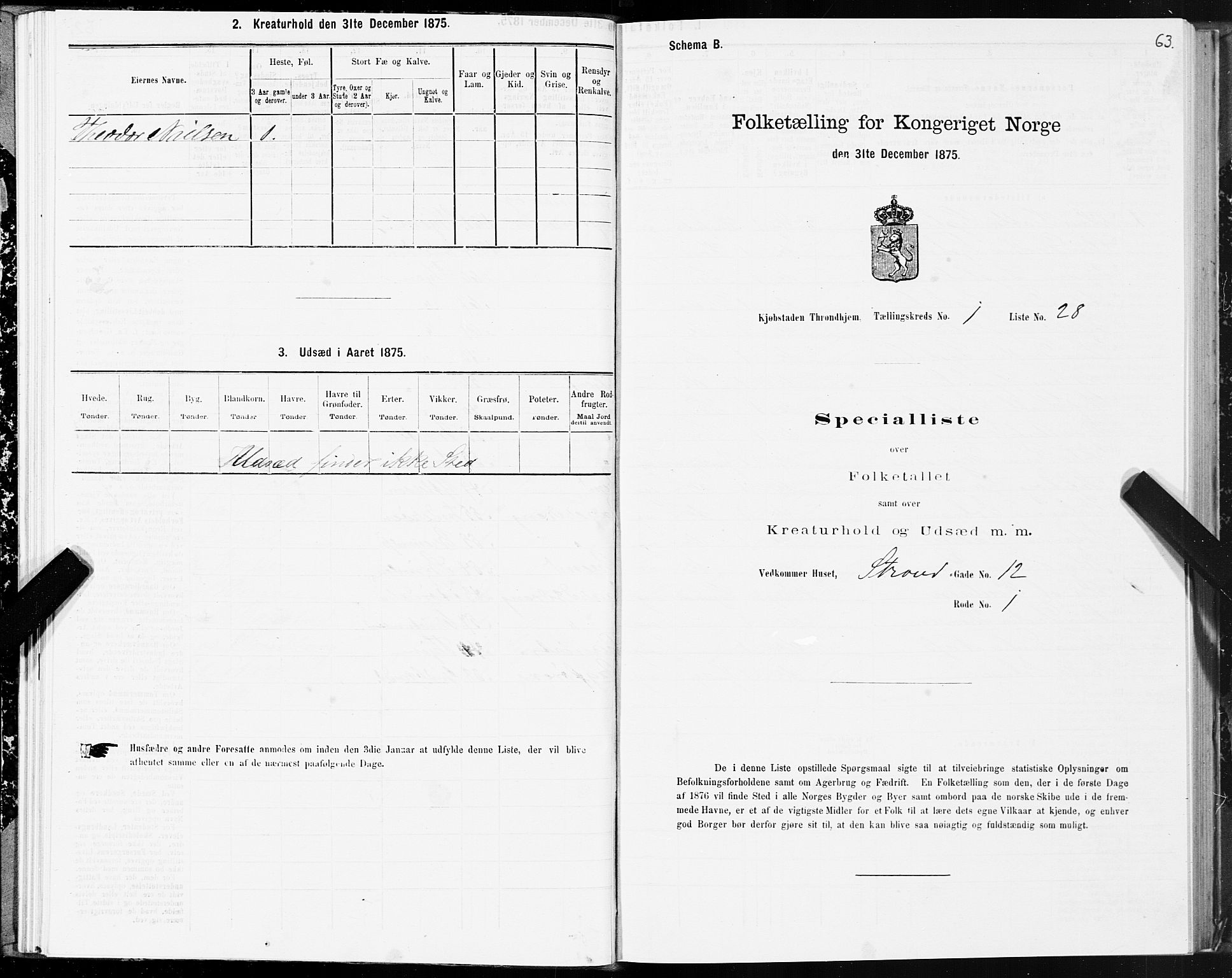 SAT, 1875 census for 1601 Trondheim, 1875, p. 1063