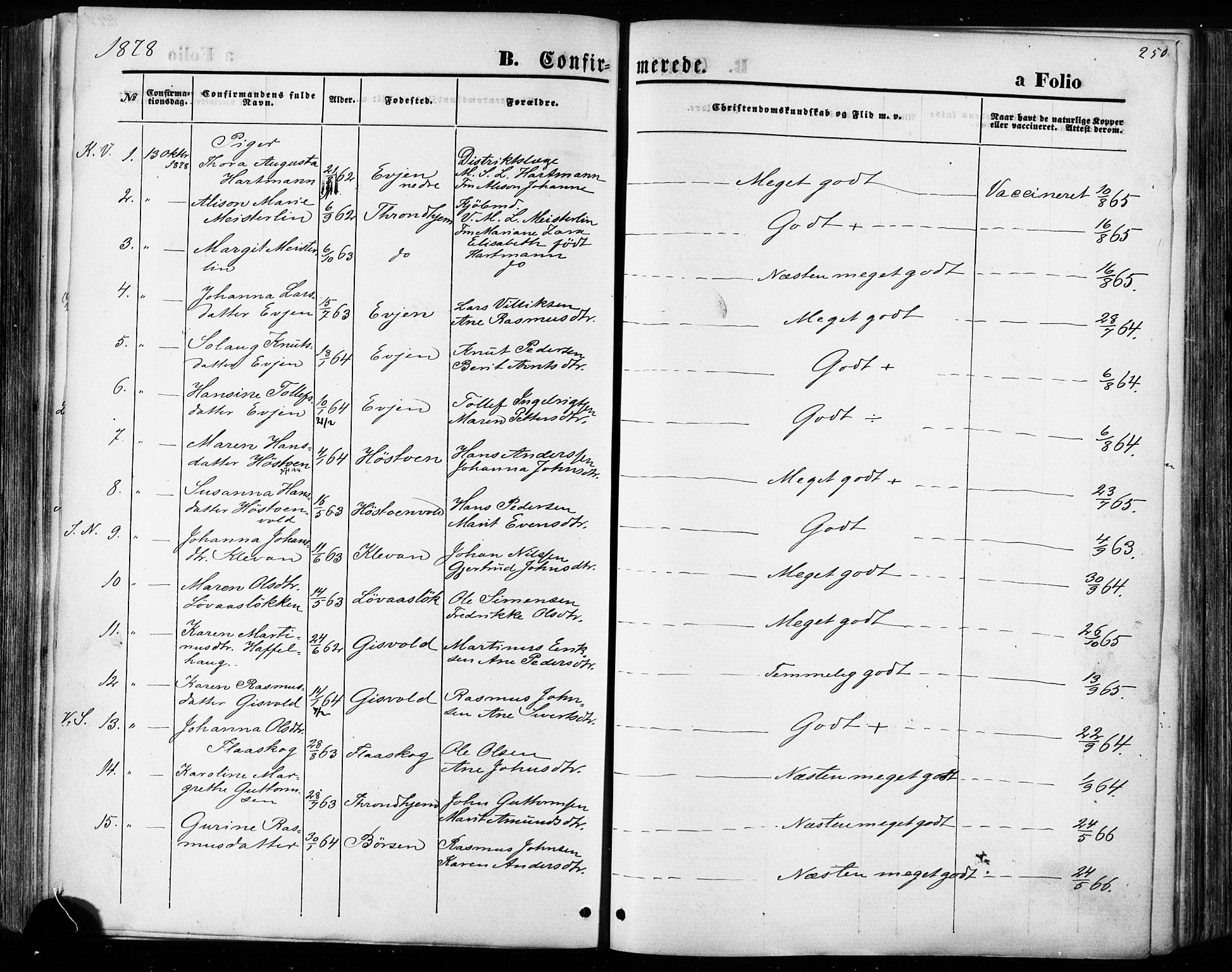 Ministerialprotokoller, klokkerbøker og fødselsregistre - Sør-Trøndelag, AV/SAT-A-1456/668/L0807: Parish register (official) no. 668A07, 1870-1880, p. 250