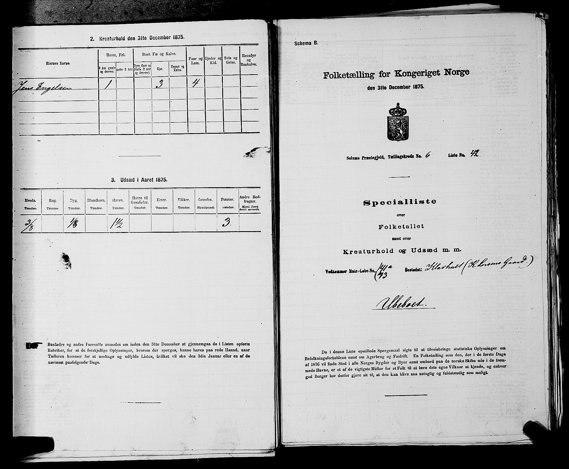 SAKO, 1875 census for 0818P Solum, 1875, p. 1074