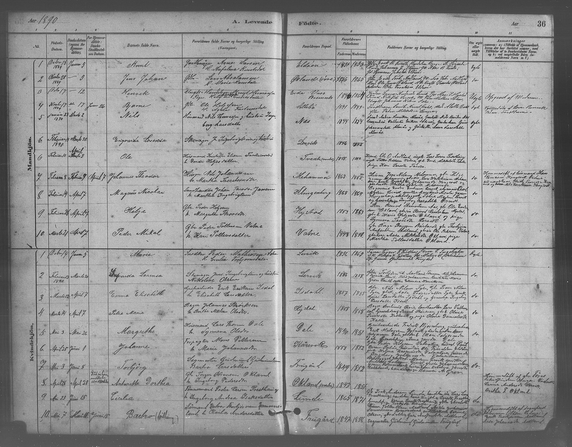 Stord sokneprestembete, SAB/A-78201/H/Hab: Parish register (copy) no. A 2, 1879-1909, p. 36