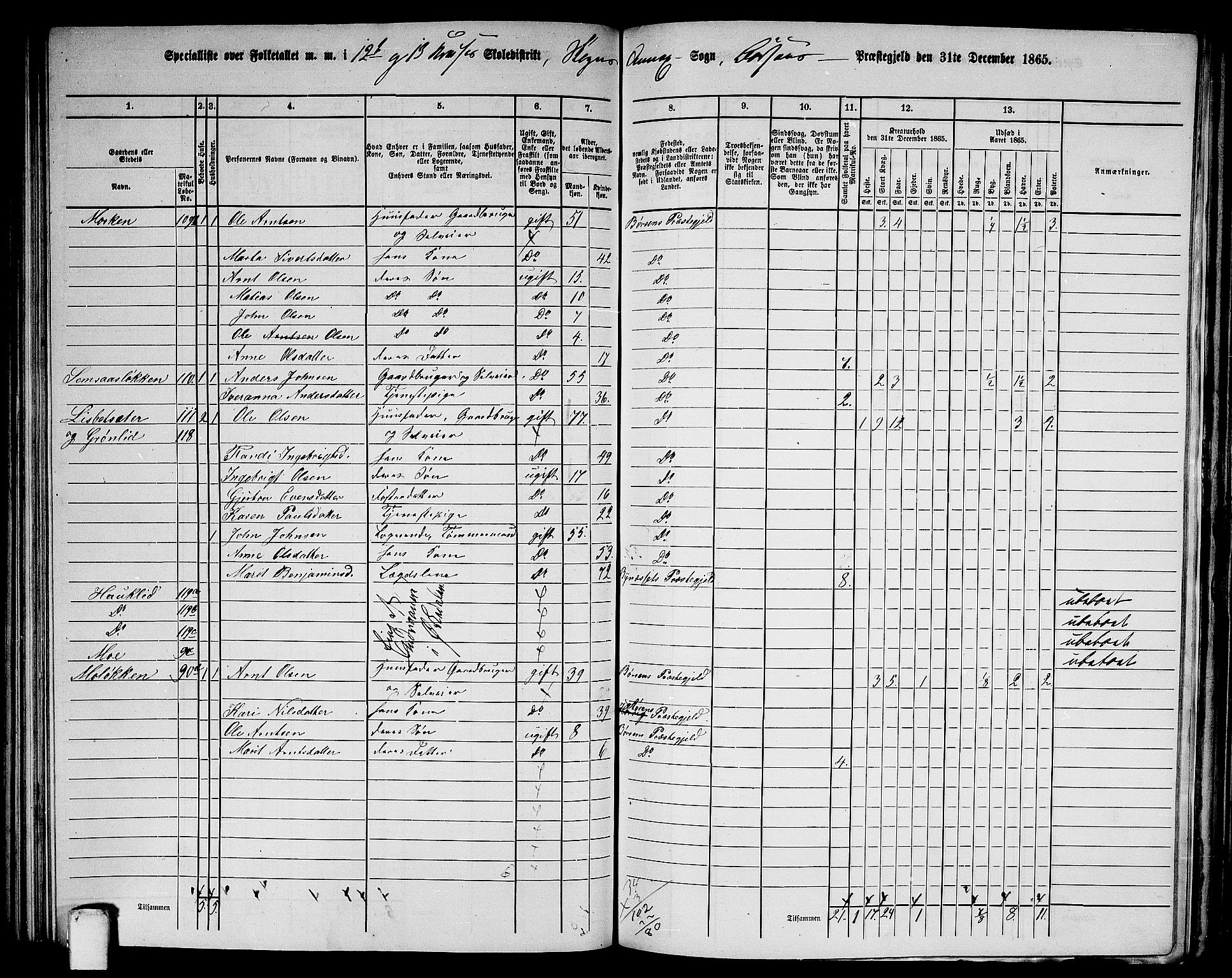 RA, 1865 census for Børsa, 1865, p. 155