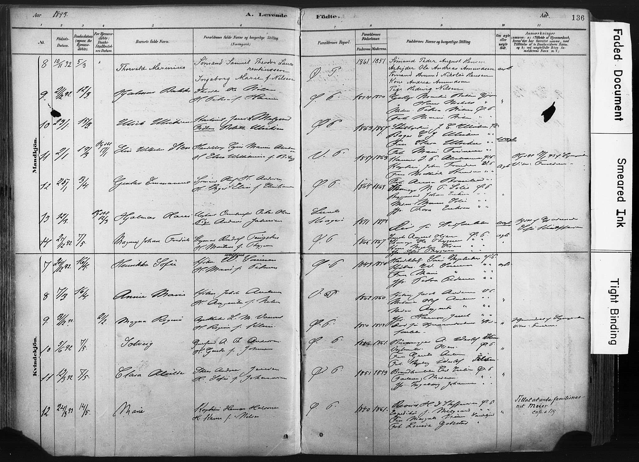 Porsgrunn kirkebøker , AV/SAKO-A-104/F/Fa/L0008: Parish register (official) no. 8, 1878-1895, p. 136