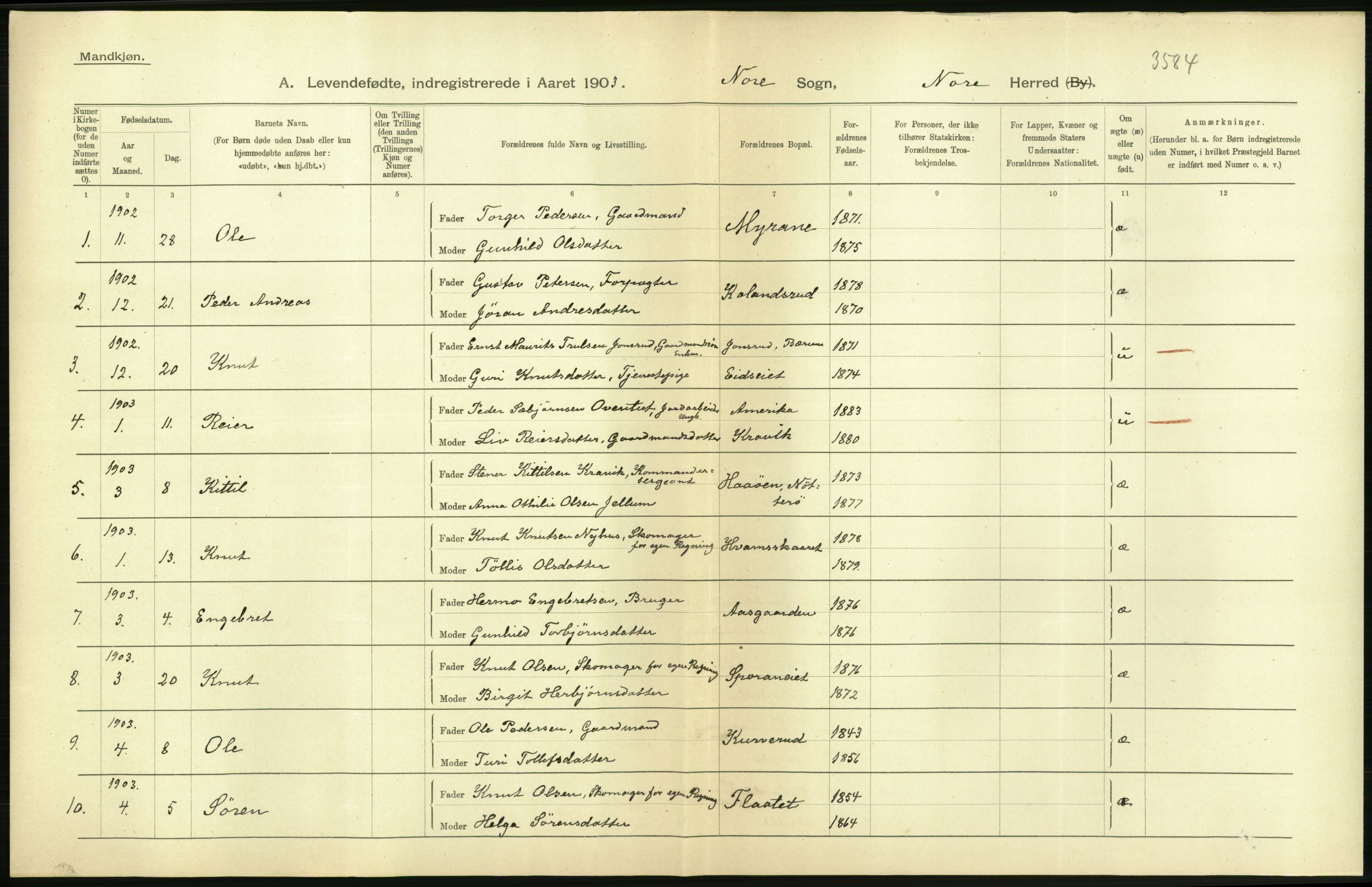 Statistisk sentralbyrå, Sosiodemografiske emner, Befolkning, AV/RA-S-2228/D/Df/Dfa/Dfaa/L0007: Buskeruds amt: Fødte, gifte, døde, 1903, p. 16