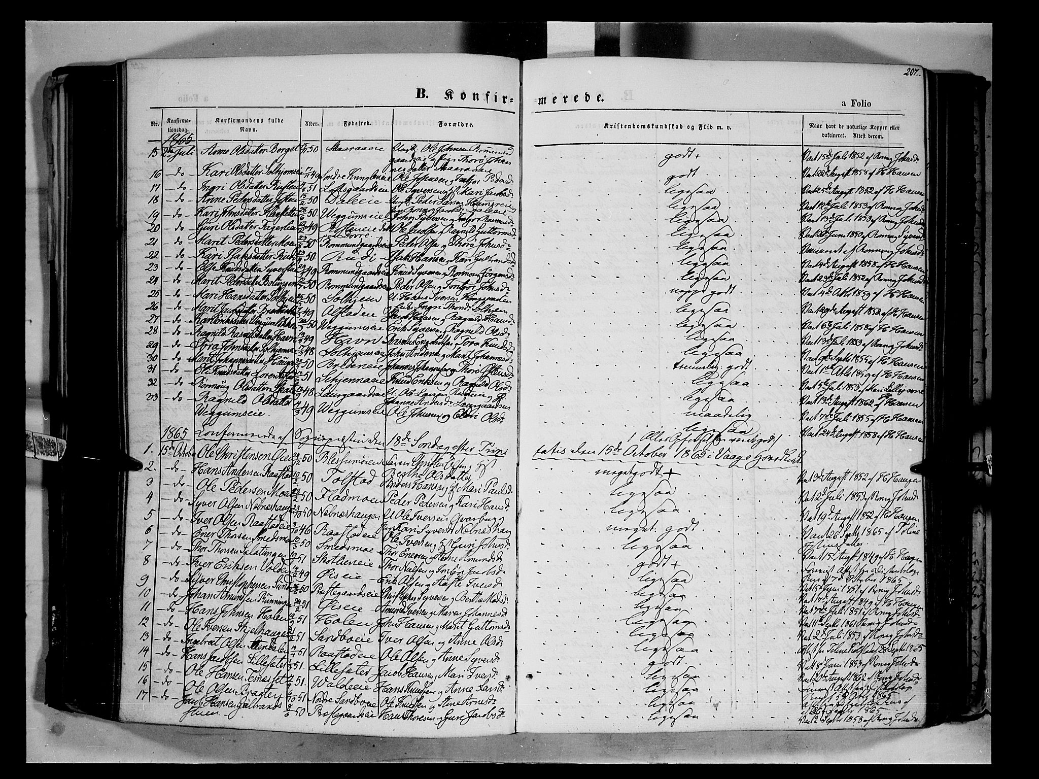 Vågå prestekontor, AV/SAH-PREST-076/H/Ha/Haa/L0006: Parish register (official) no. 6 /1, 1856-1872, p. 207