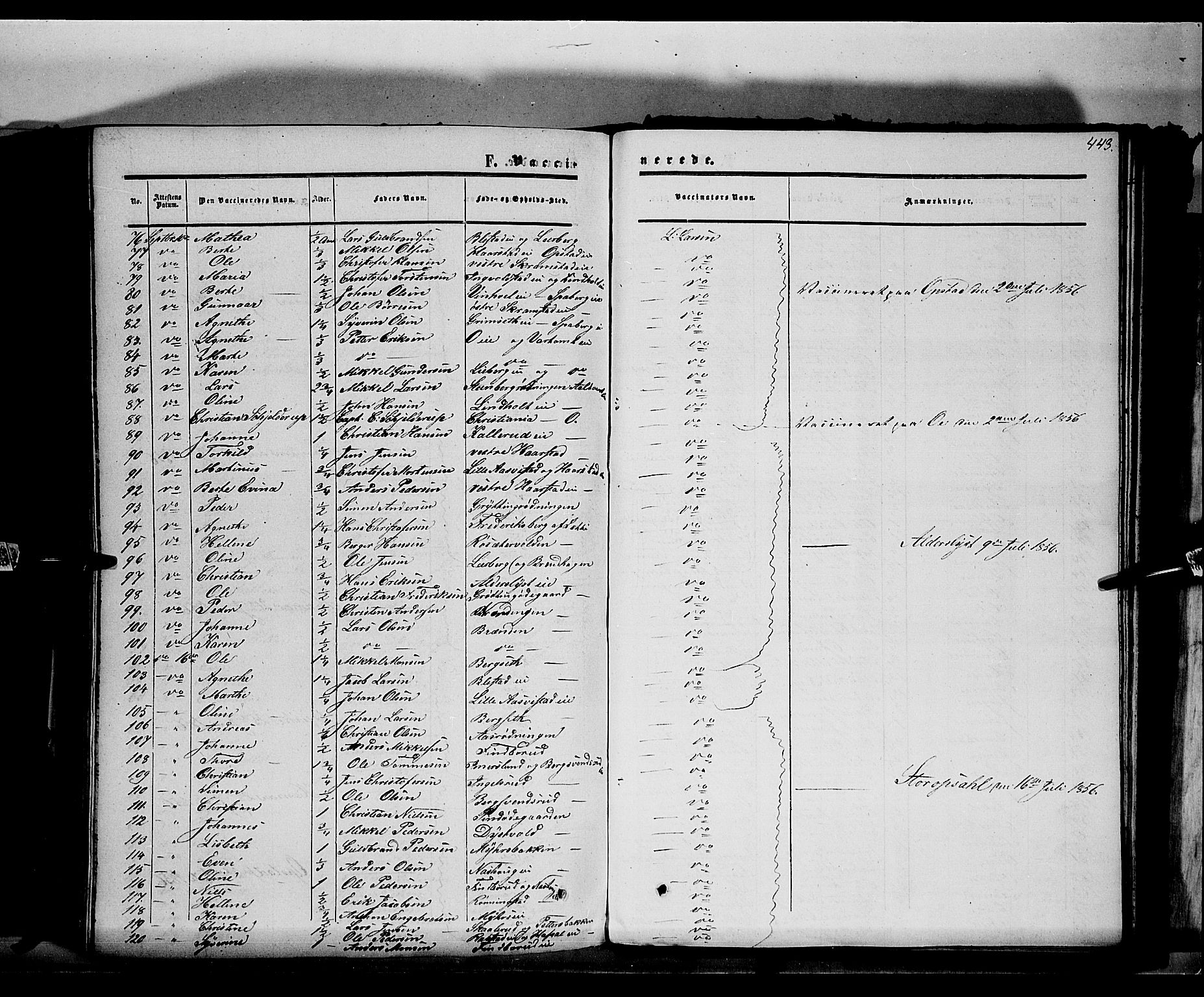 Vang prestekontor, Hedmark, AV/SAH-PREST-008/H/Ha/Haa/L0012: Parish register (official) no. 12, 1855-1870, p. 443