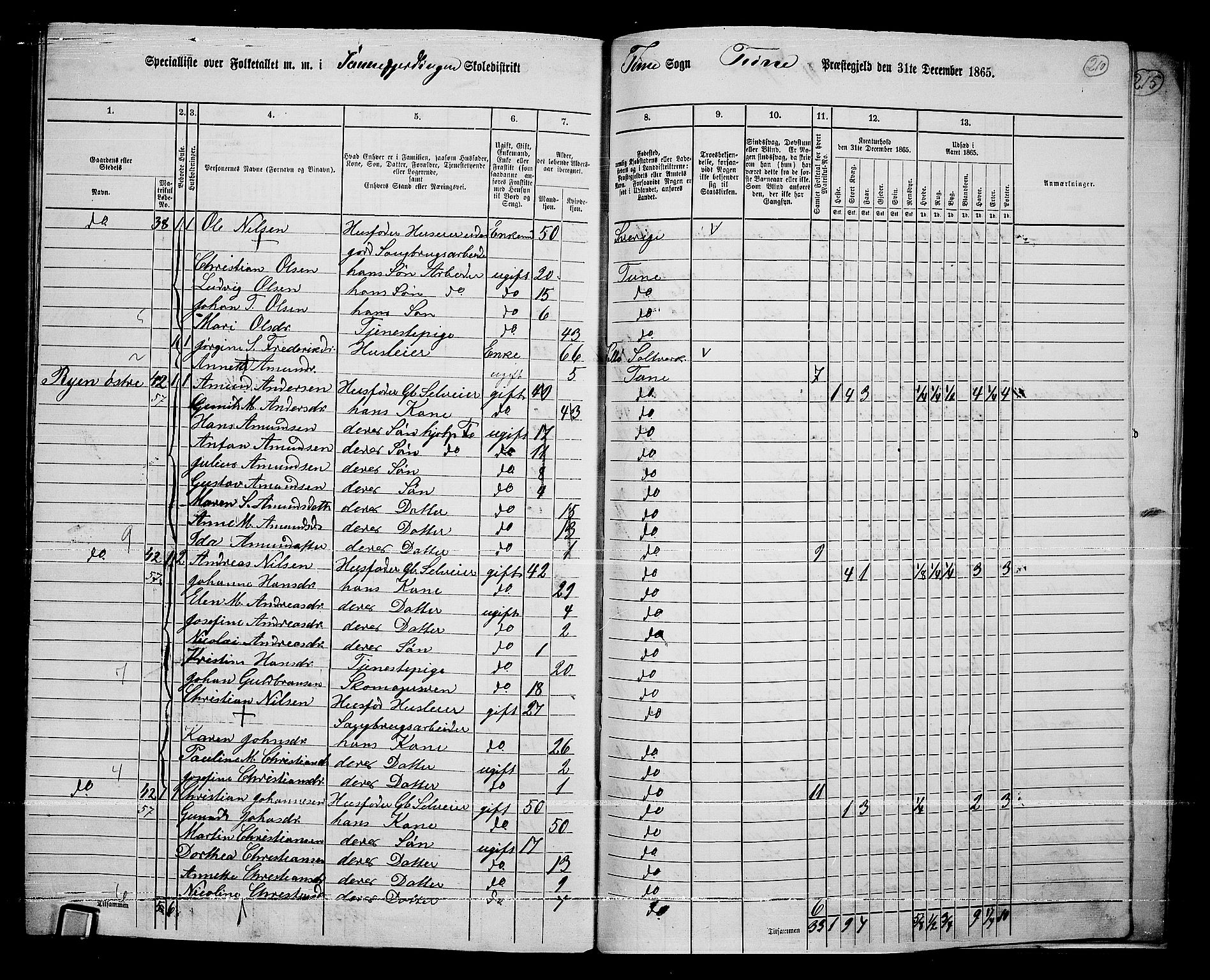 RA, 1865 census for Tune, 1865, p. 278