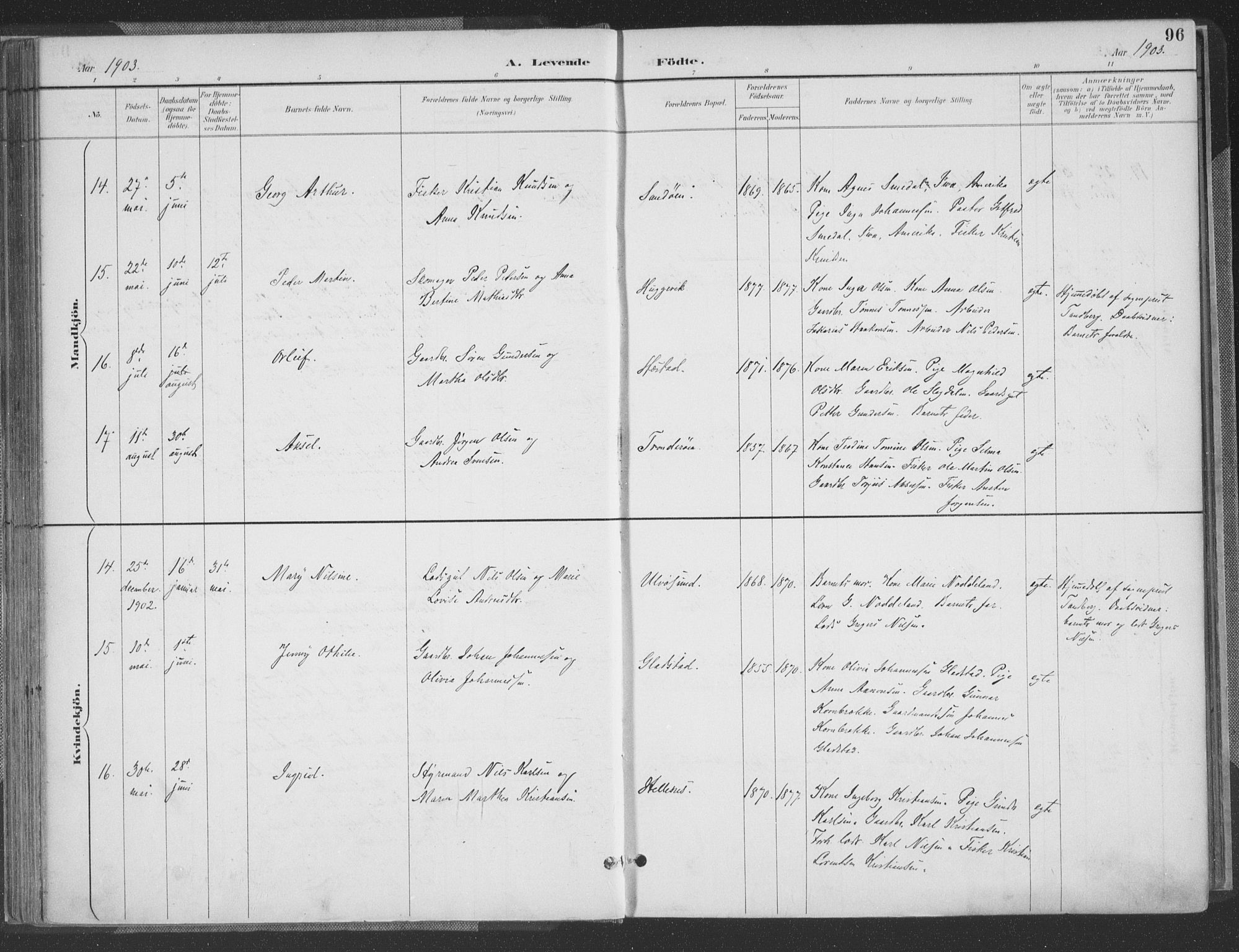 Høvåg sokneprestkontor, AV/SAK-1111-0025/F/Fa/L0006: Parish register (official) no. A 6, 1894-1923, p. 96