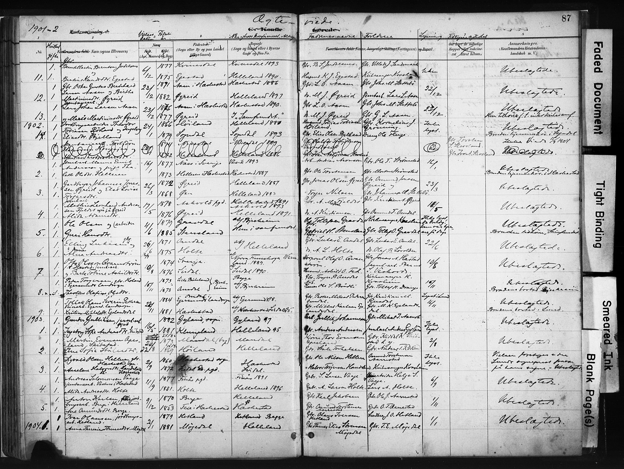 Helleland sokneprestkontor, SAST/A-101810: Parish register (official) no. A 8, 1887-1907, p. 87