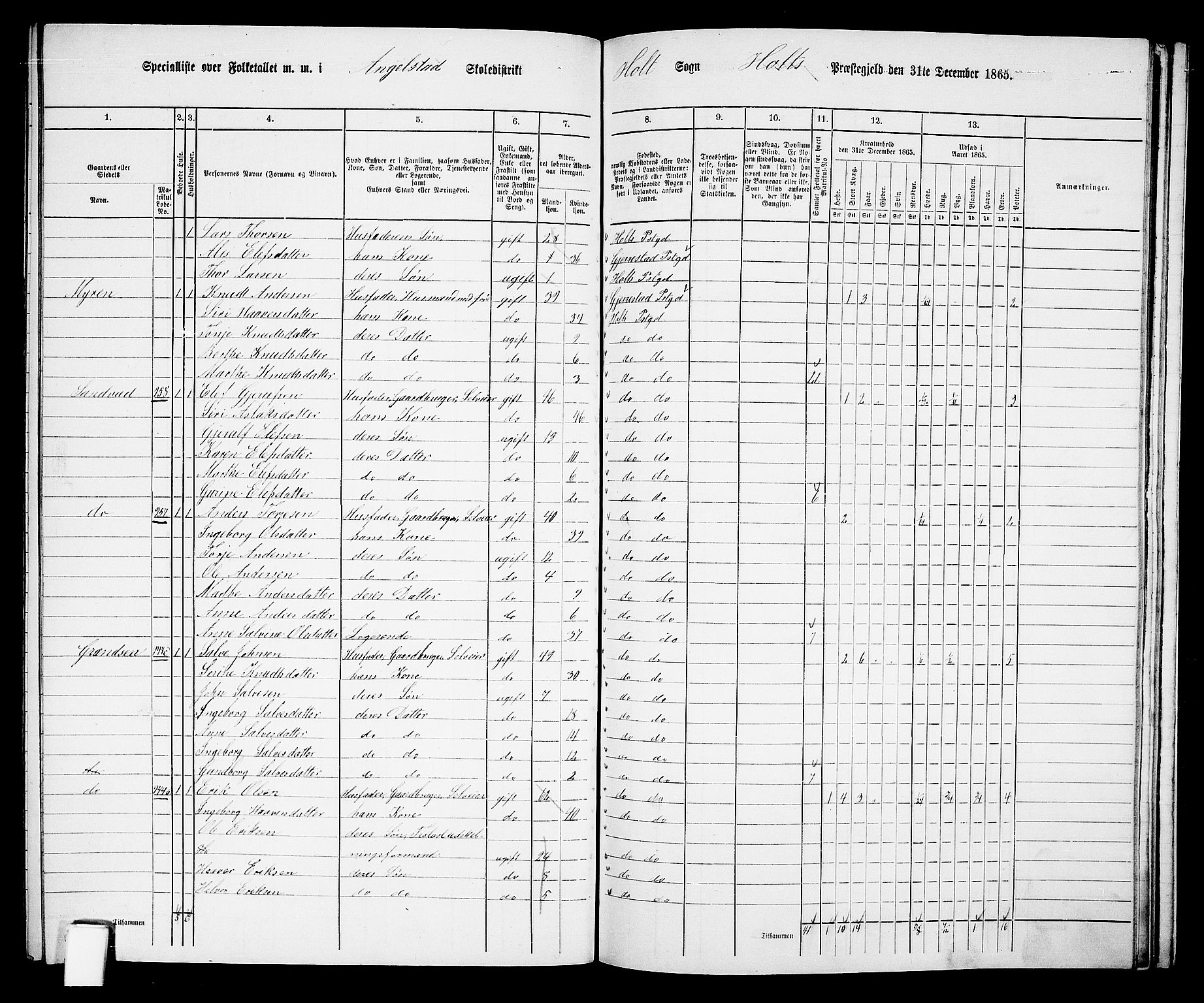 RA, 1865 census for Holt/Holt, 1865, p. 158